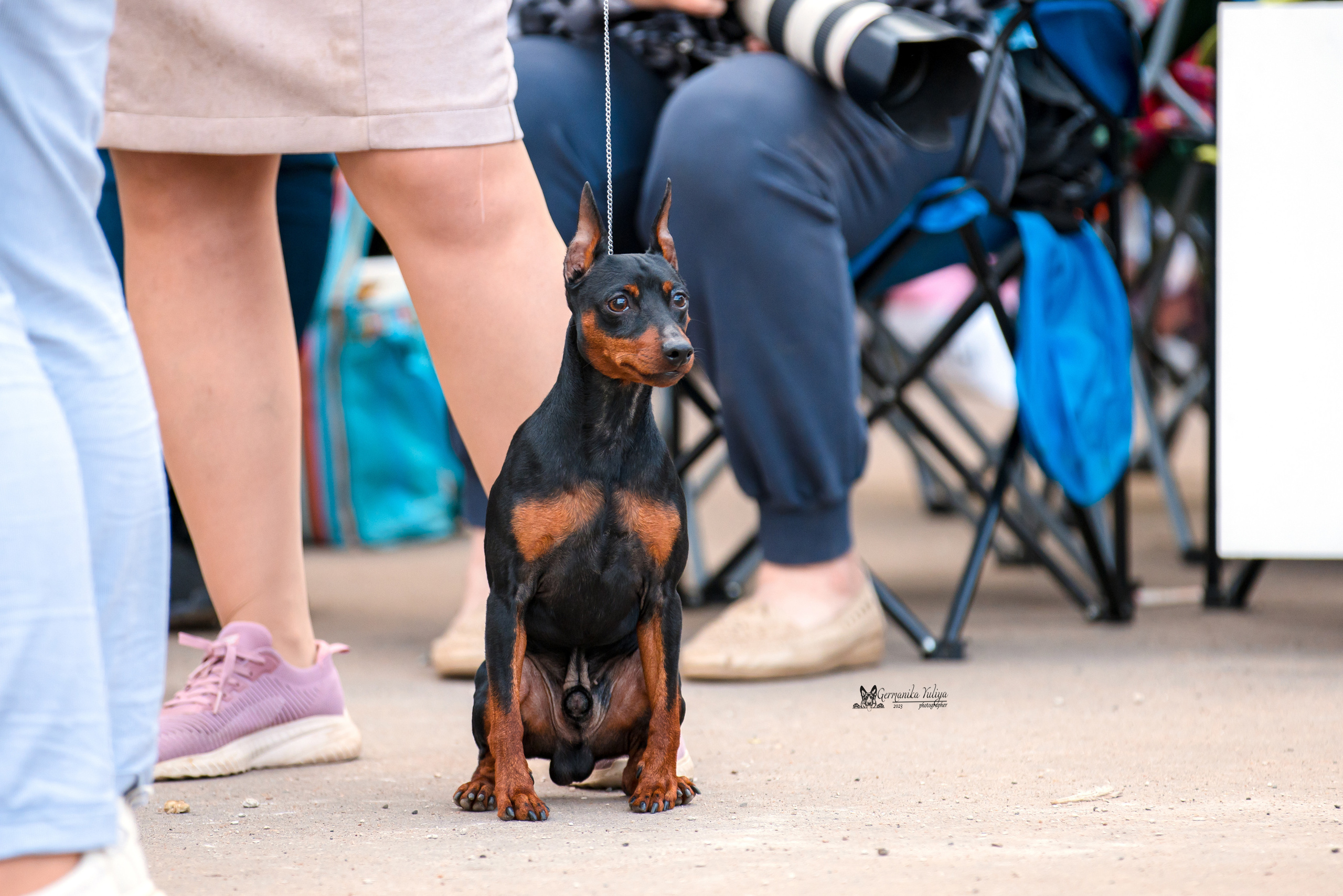 Измайлово 21.05.2023. Фотограф-анималист Юлия Германика