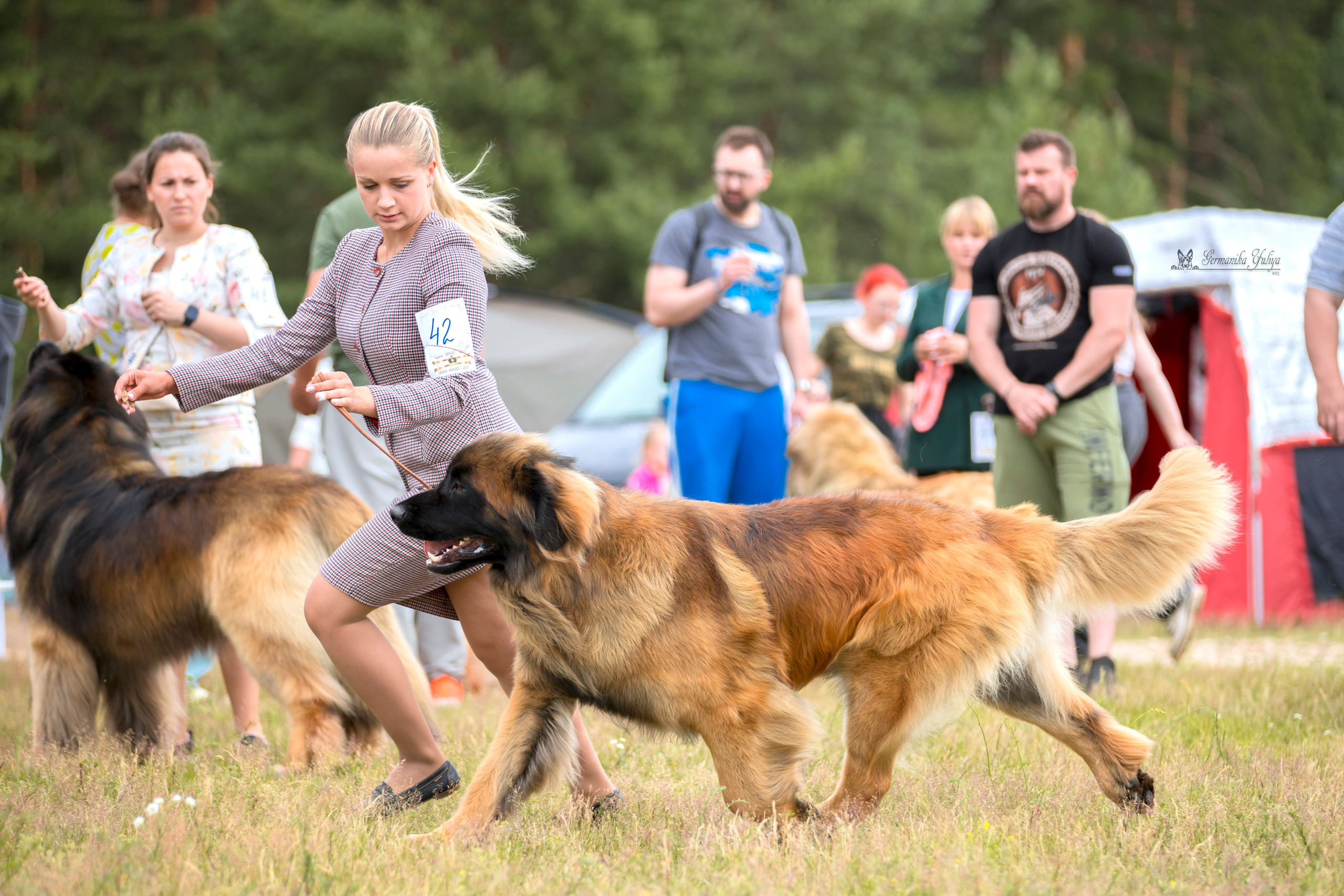 Волжанка 8.07.2023. Фотограф-анималист Юлия Германика