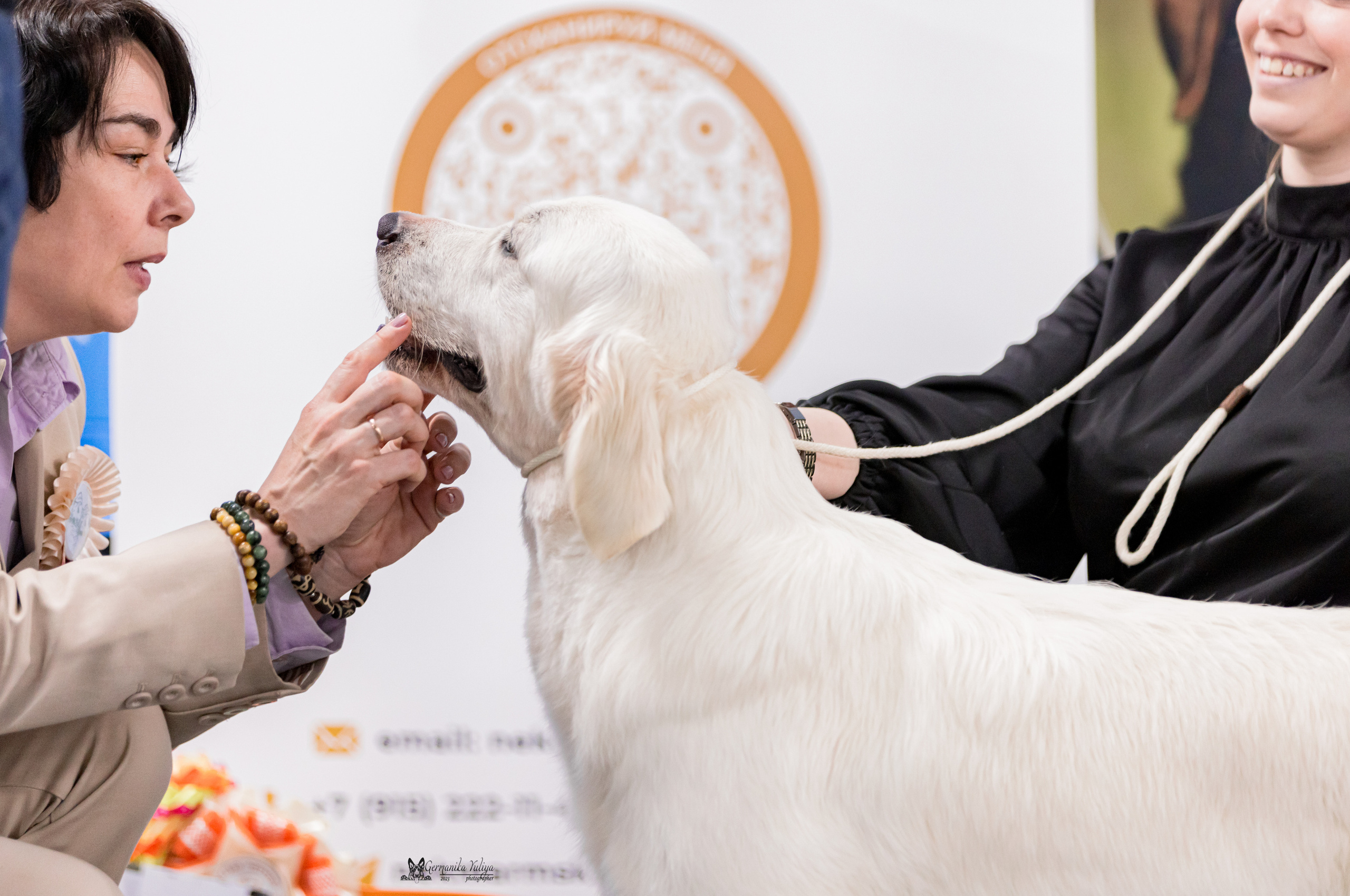 Сфера+МД 8-9.04.2023. Фотограф-анималист Юлия Германика