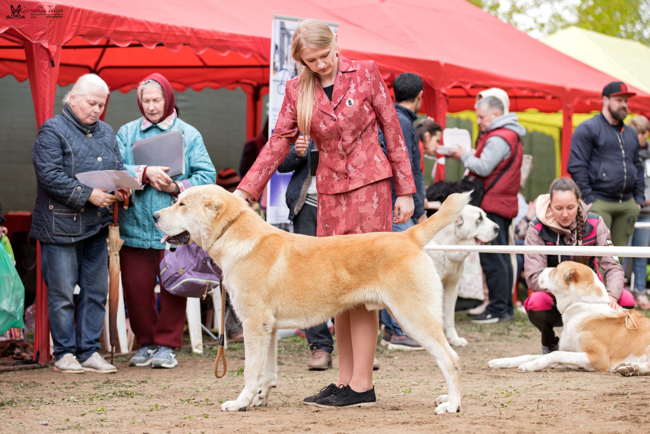 Сокольники 1.05.2023. Фотограф-анималист Юлия Германика