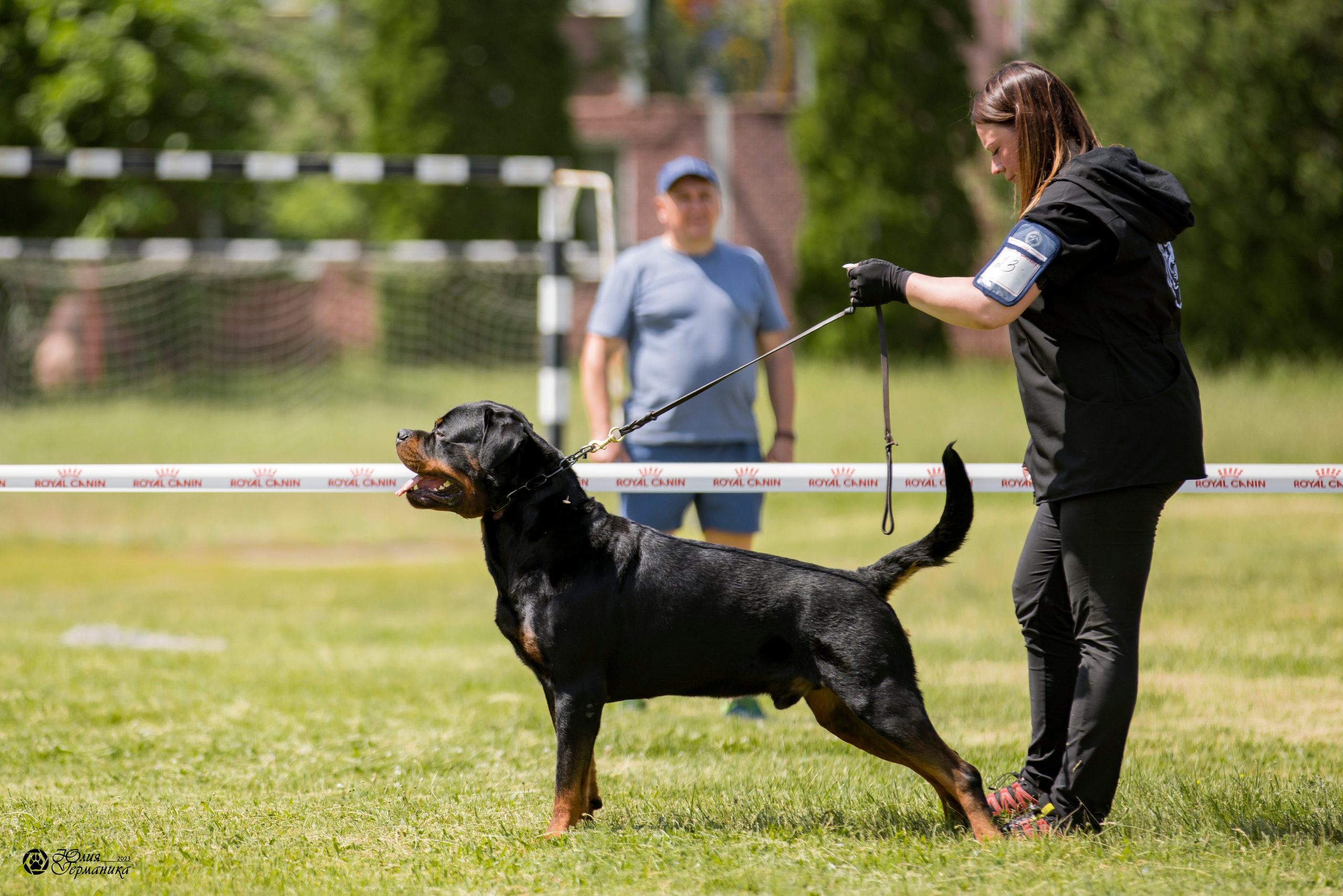 Воронеж 2хмоно ротвейлеров 3-4.06.2023. Фотограф-анималист Юлия Германика
