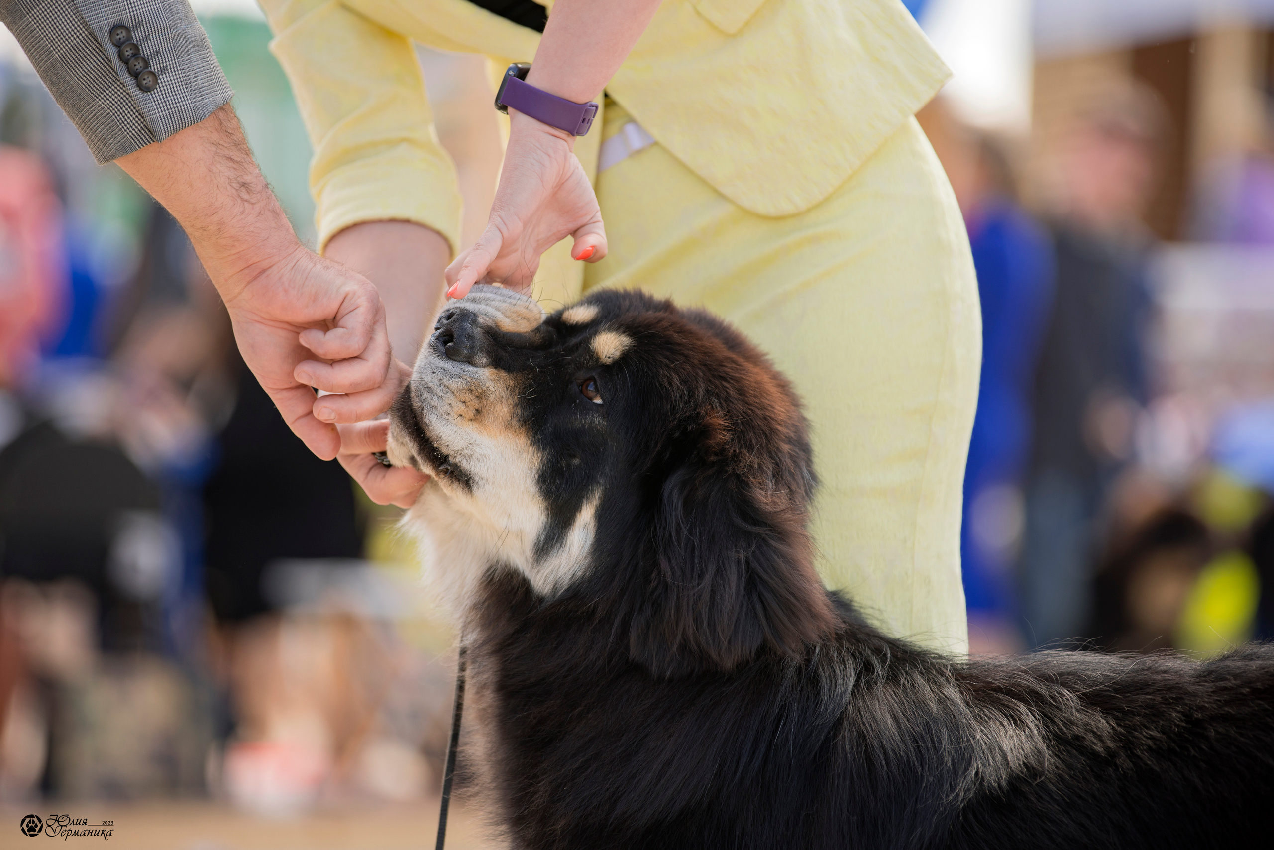 Россия 10-11.06.2023. Фотограф-анималист Юлия Германика
