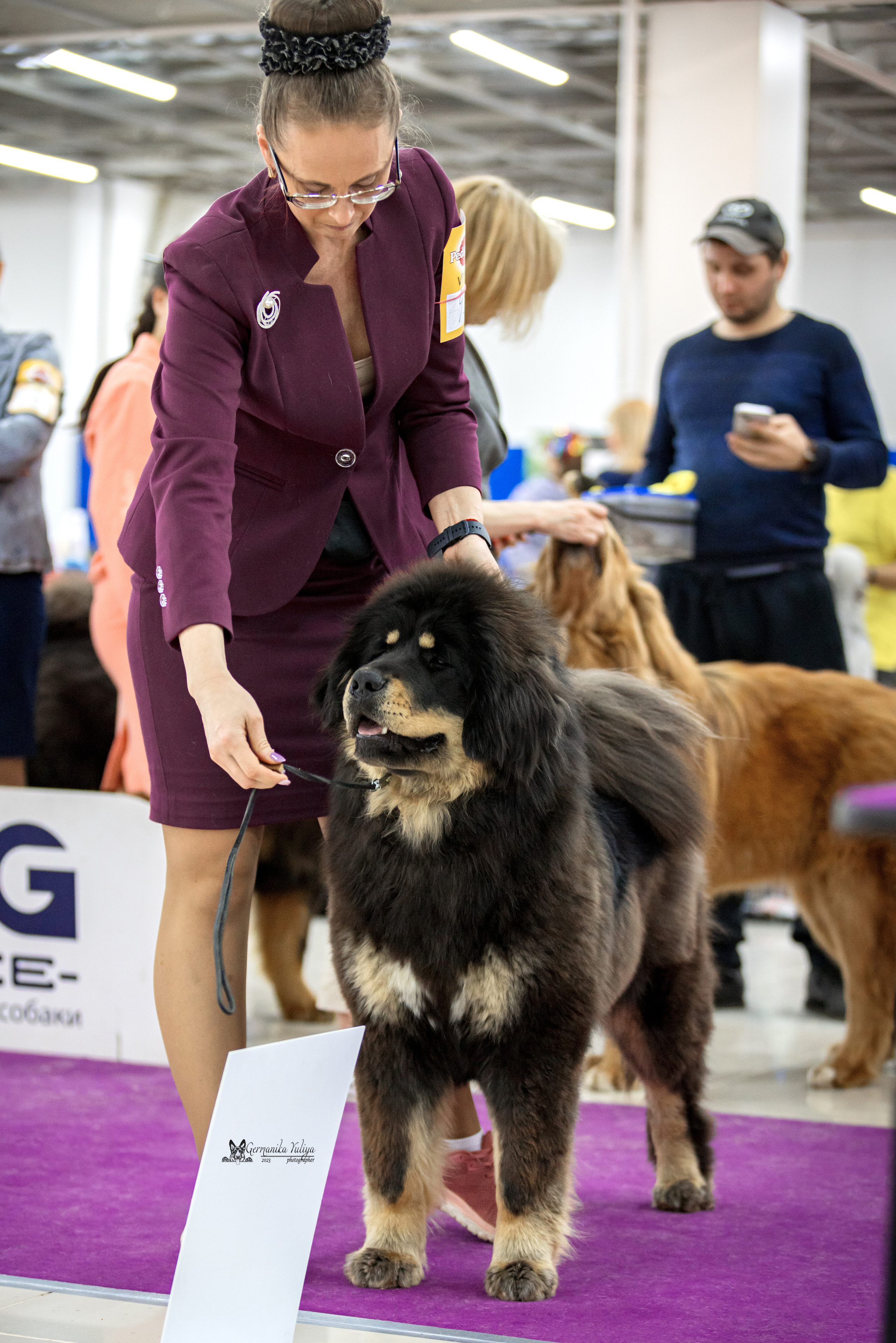 Сфера+МД 8-9.04.2023. Фотограф-анималист Юлия Германика