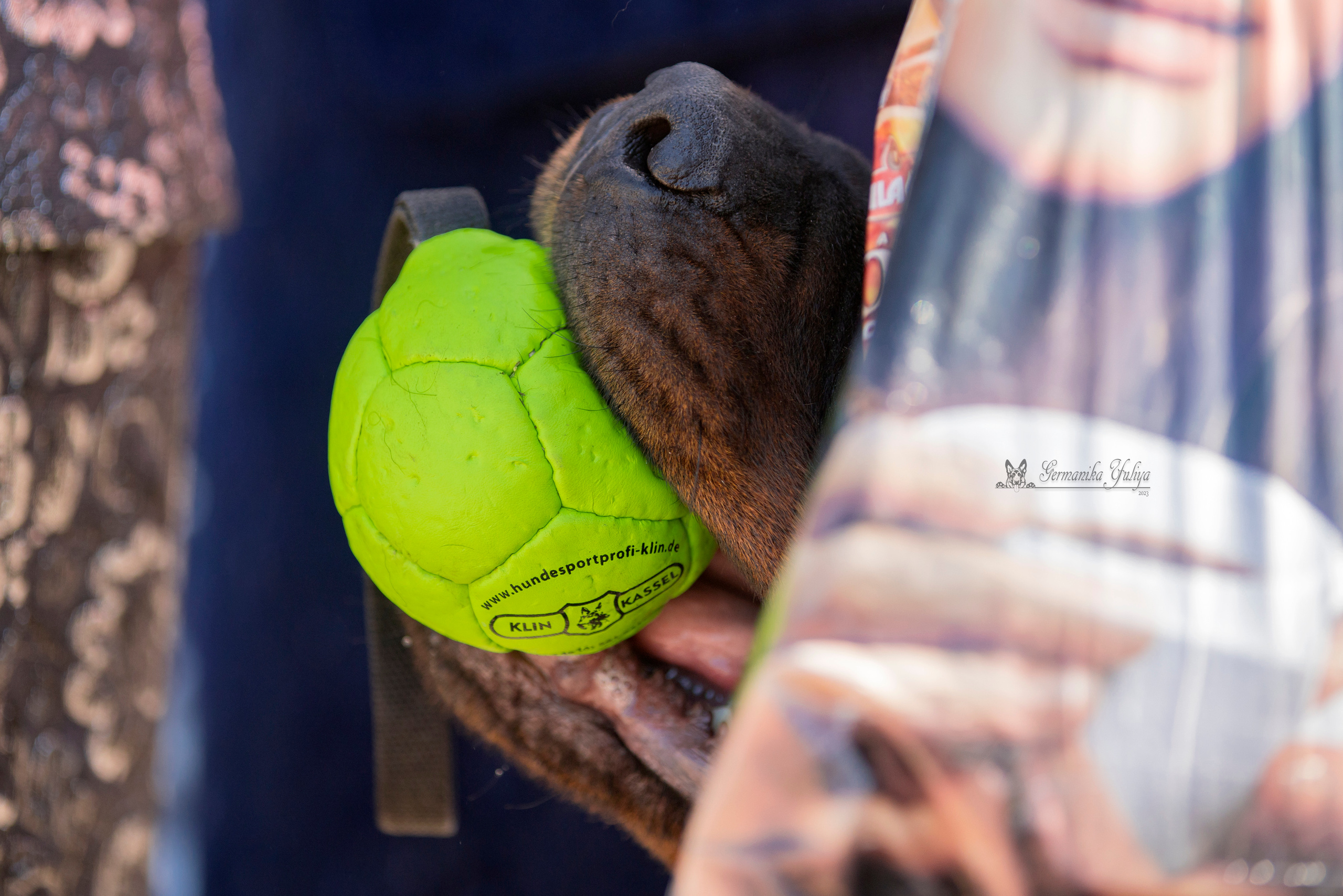 Питер моно ротвейлеров 18.06.2023