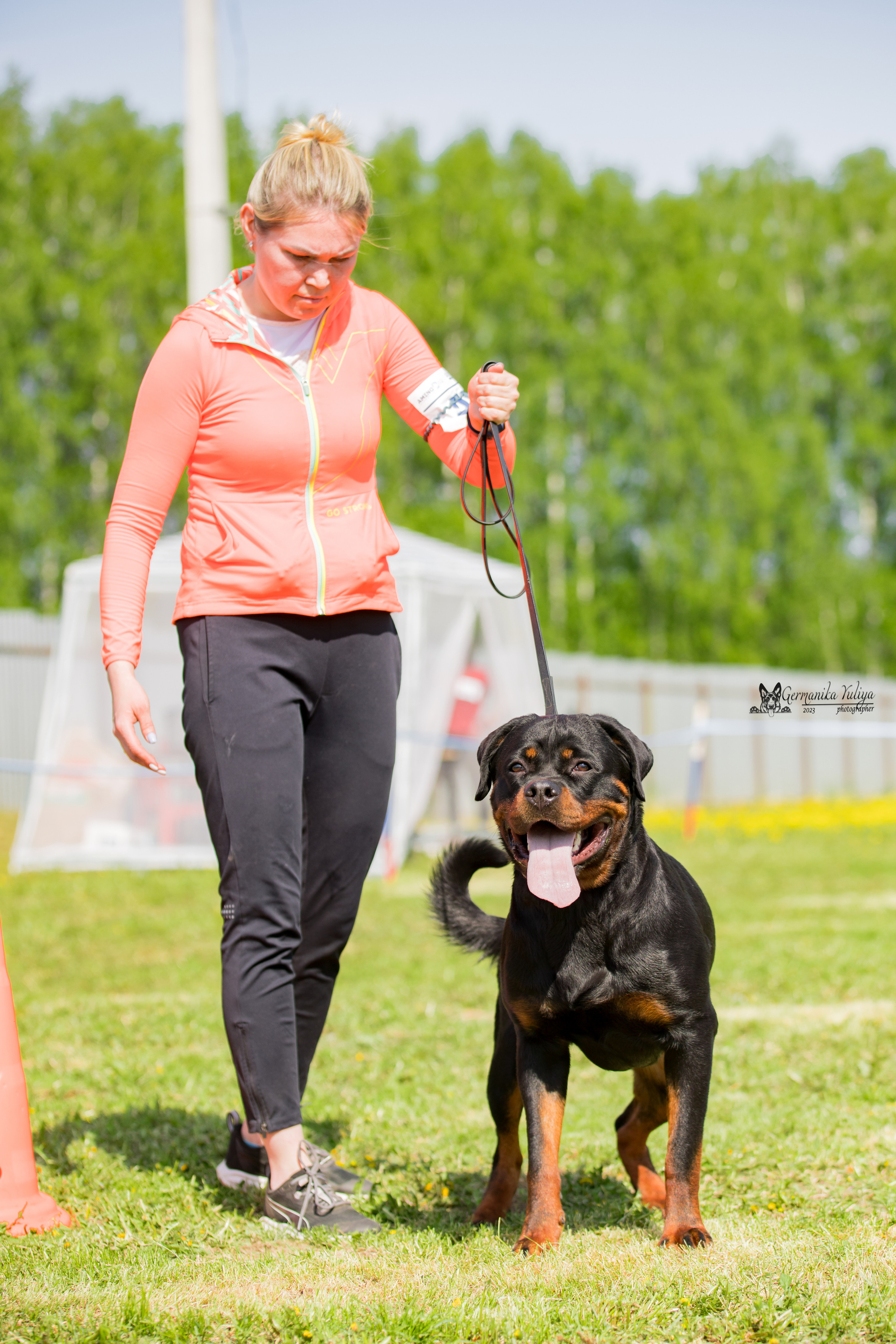 Нижний Новгород моно ротвейлеров 13.05.2023. Фотограф-анималист Юлия Германика