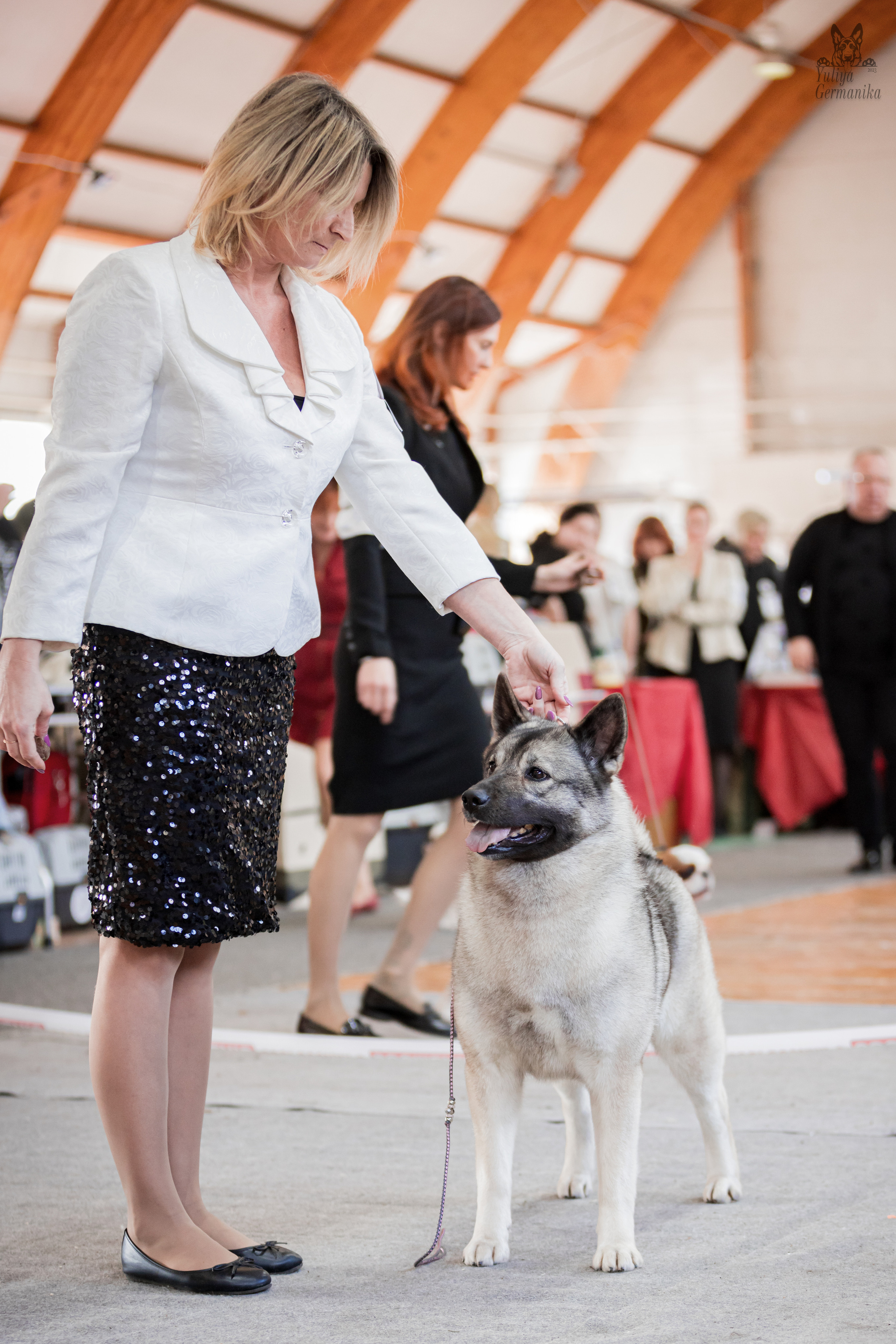 Тверь 01.04.2023. Фотограф-анималист Юлия Германика