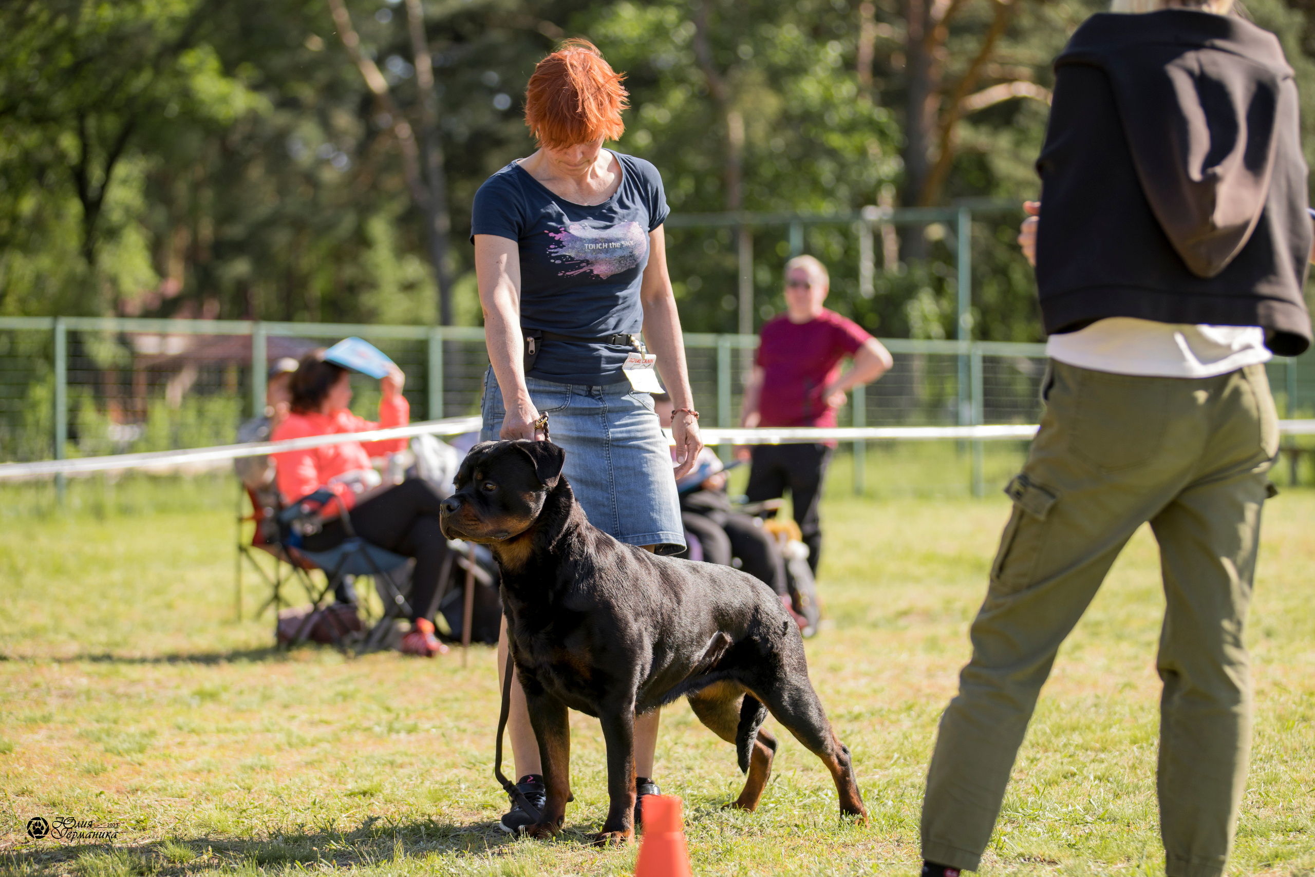 Воронеж 2хмоно ротвейлеров 3-4.06.2023. Фотограф-анималист Юлия Германика