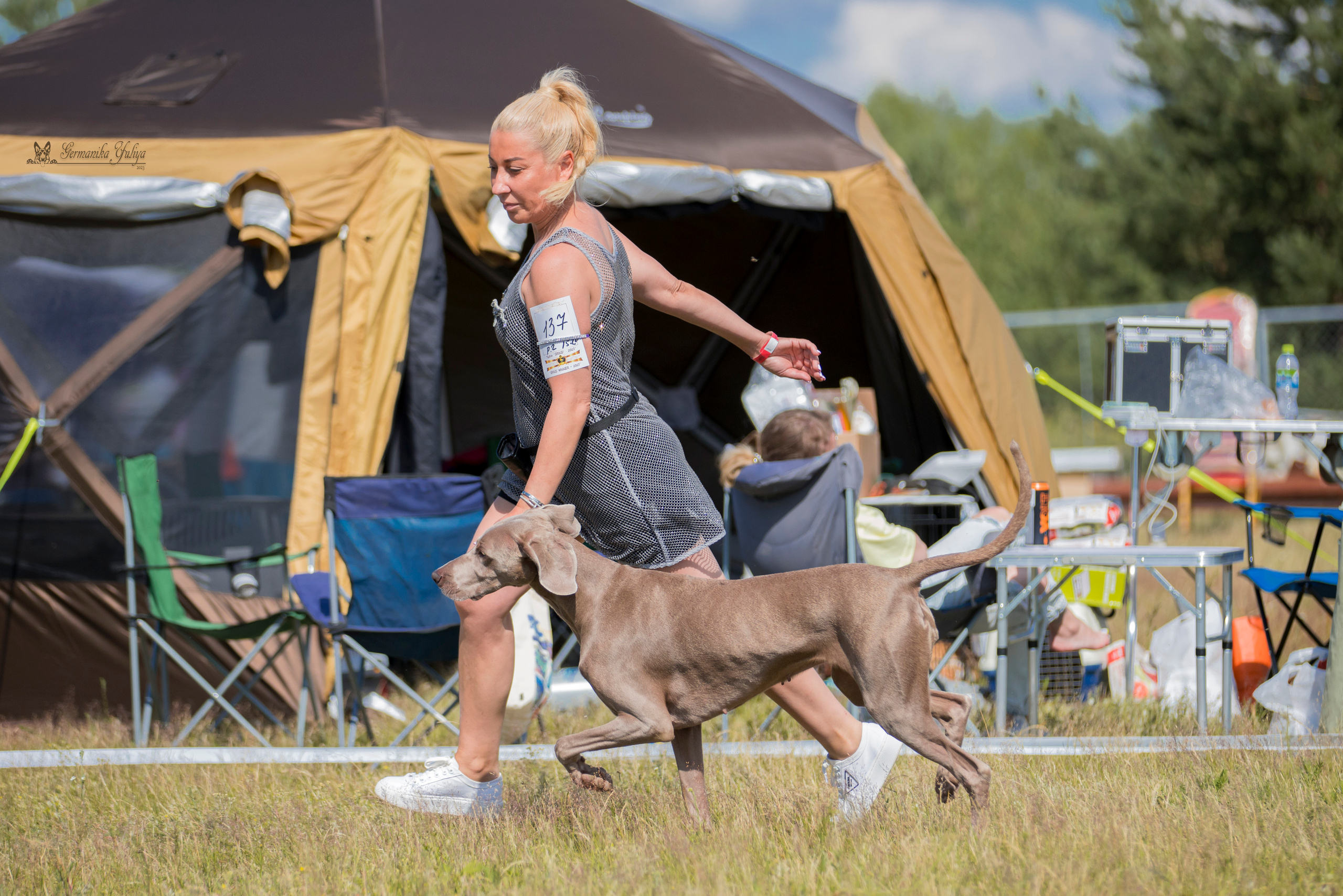 Волжанка 8.07.2023. Фотограф-анималист Юлия Германика