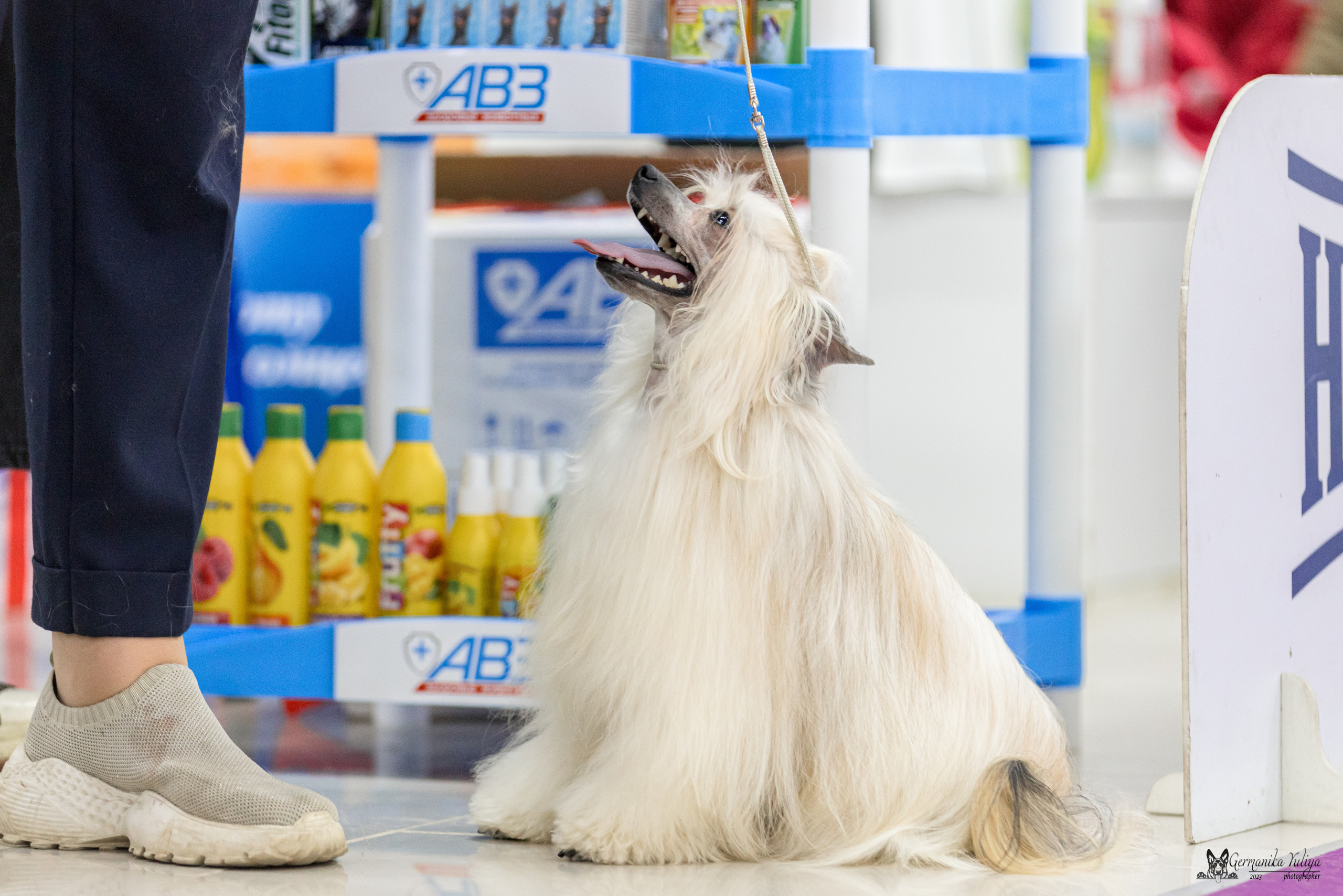 Сфера+МД 8-9.04.2023. Фотограф-анималист Юлия Германика