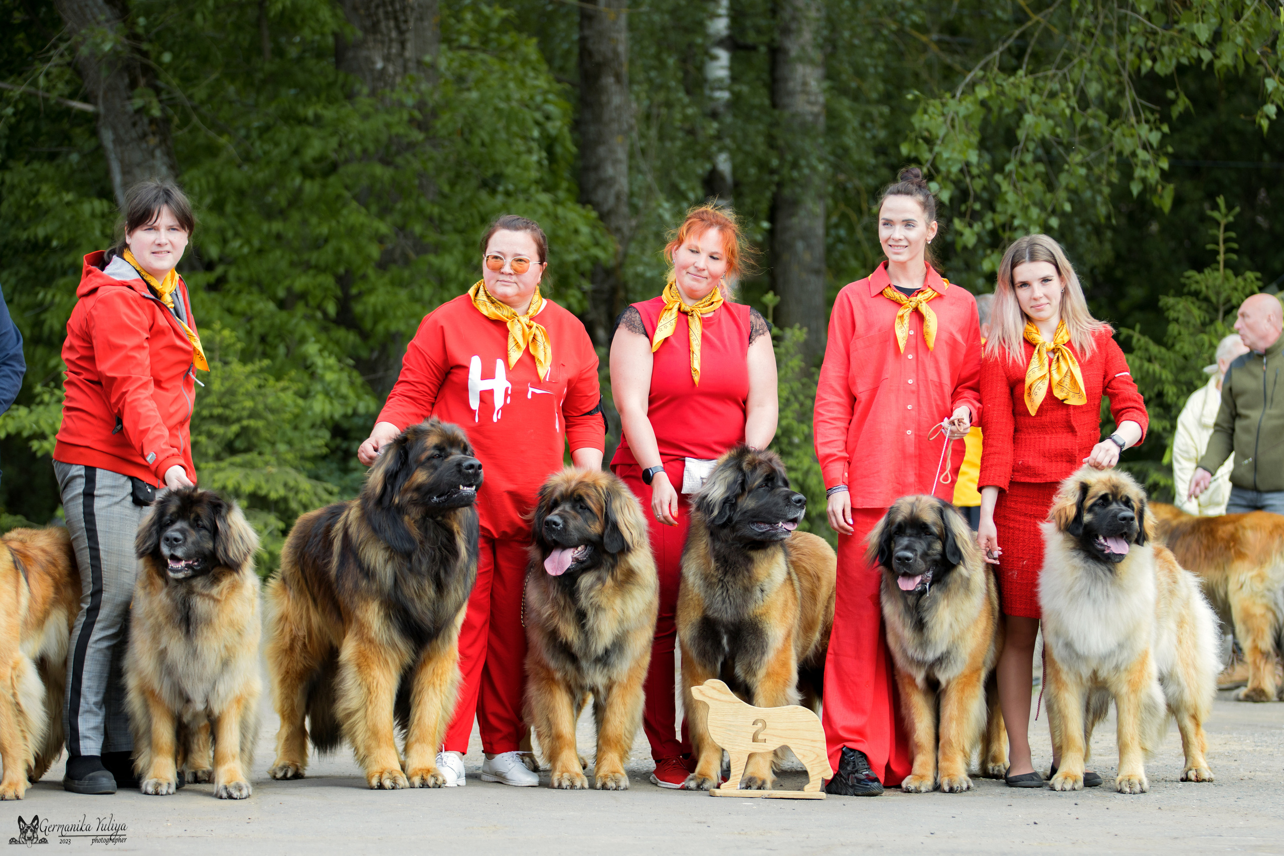 Националка Леонбергеров 28.05.2023. Фотограф-анималист Юлия Германика