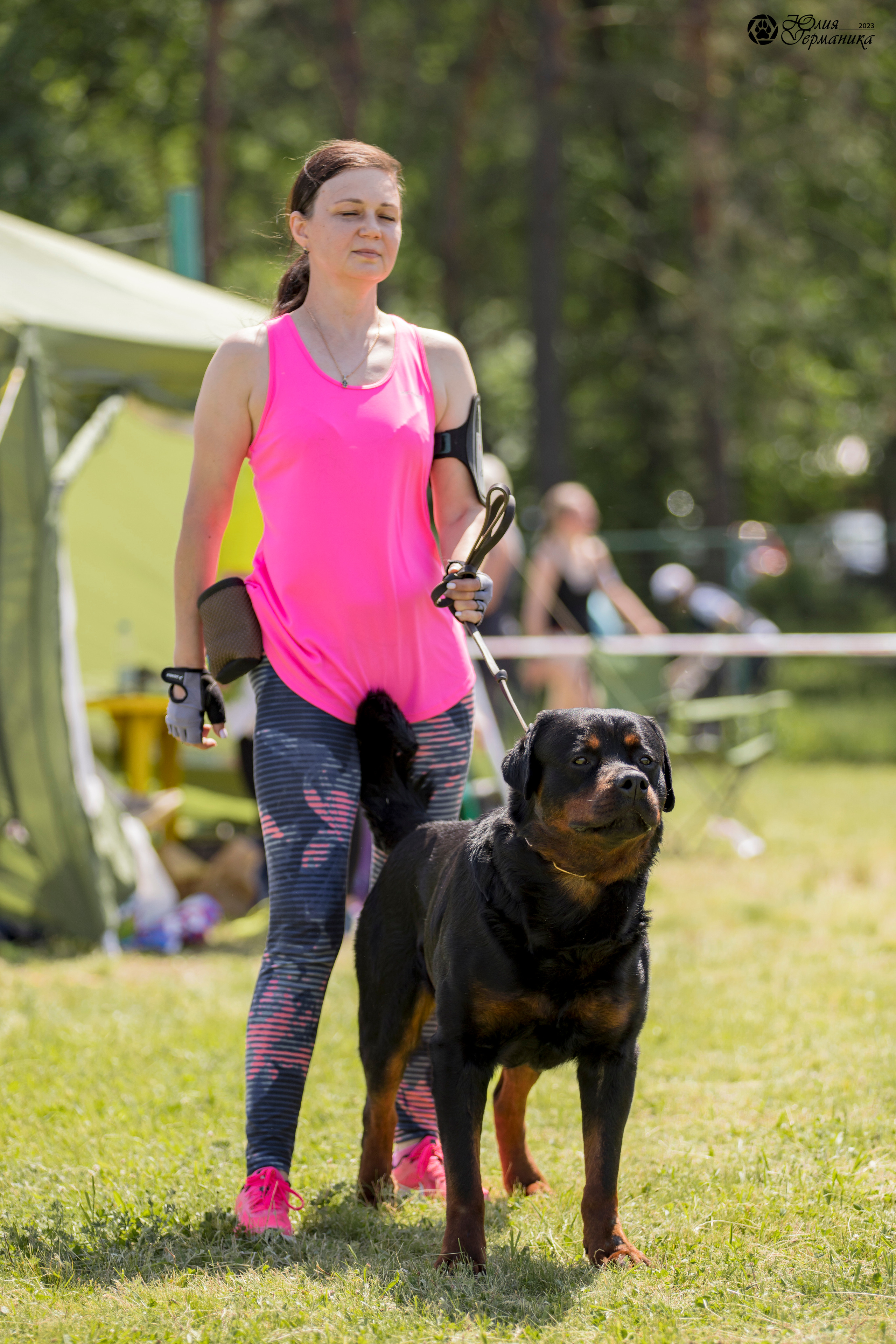 Воронеж 2хмоно ротвейлеров 3-4.06.2023. Фотограф-анималист Юлия Германика