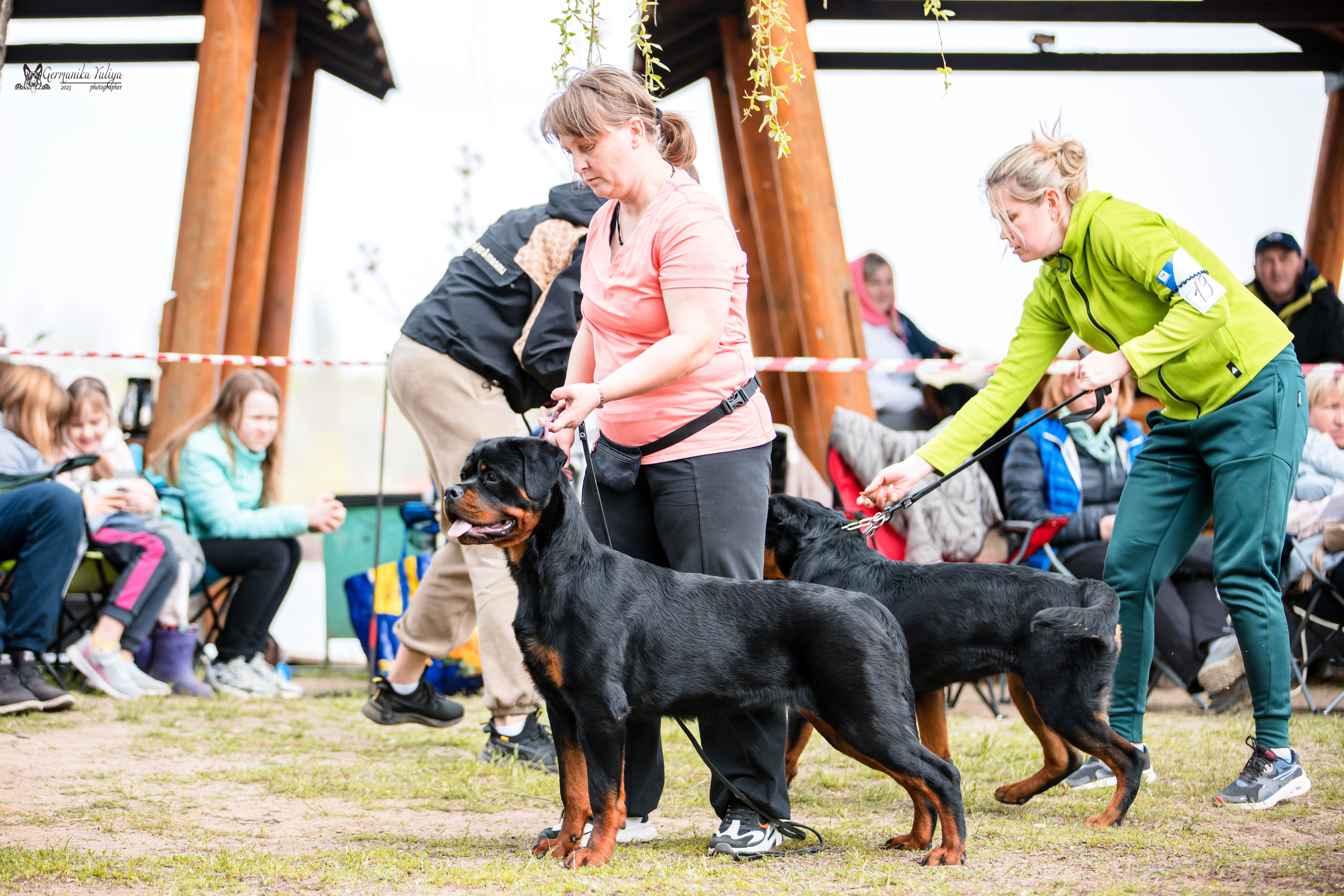 Саратов 2хмоно ротвейлеров 22-23.04.2023. Фотограф-анималист Юлия Германика
