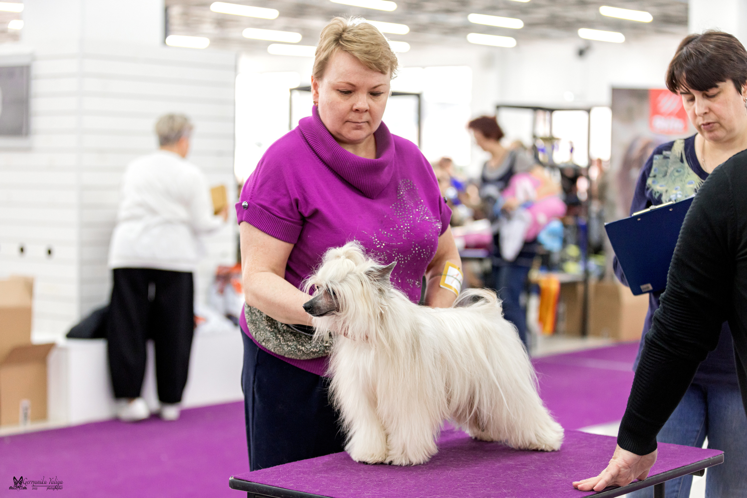 Сфера+МД 8-9.04.2023. Фотограф-анималист Юлия Германика
