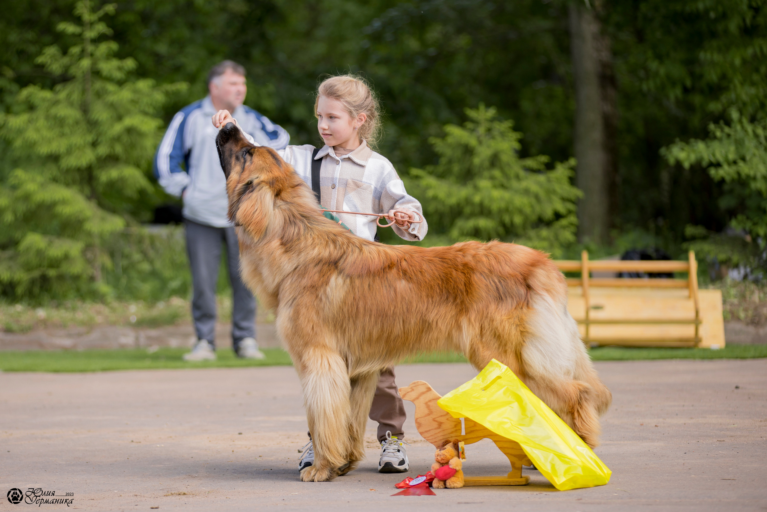 Националка Леонбергеров 28.05.2023. Фотограф-анималист Юлия Германика