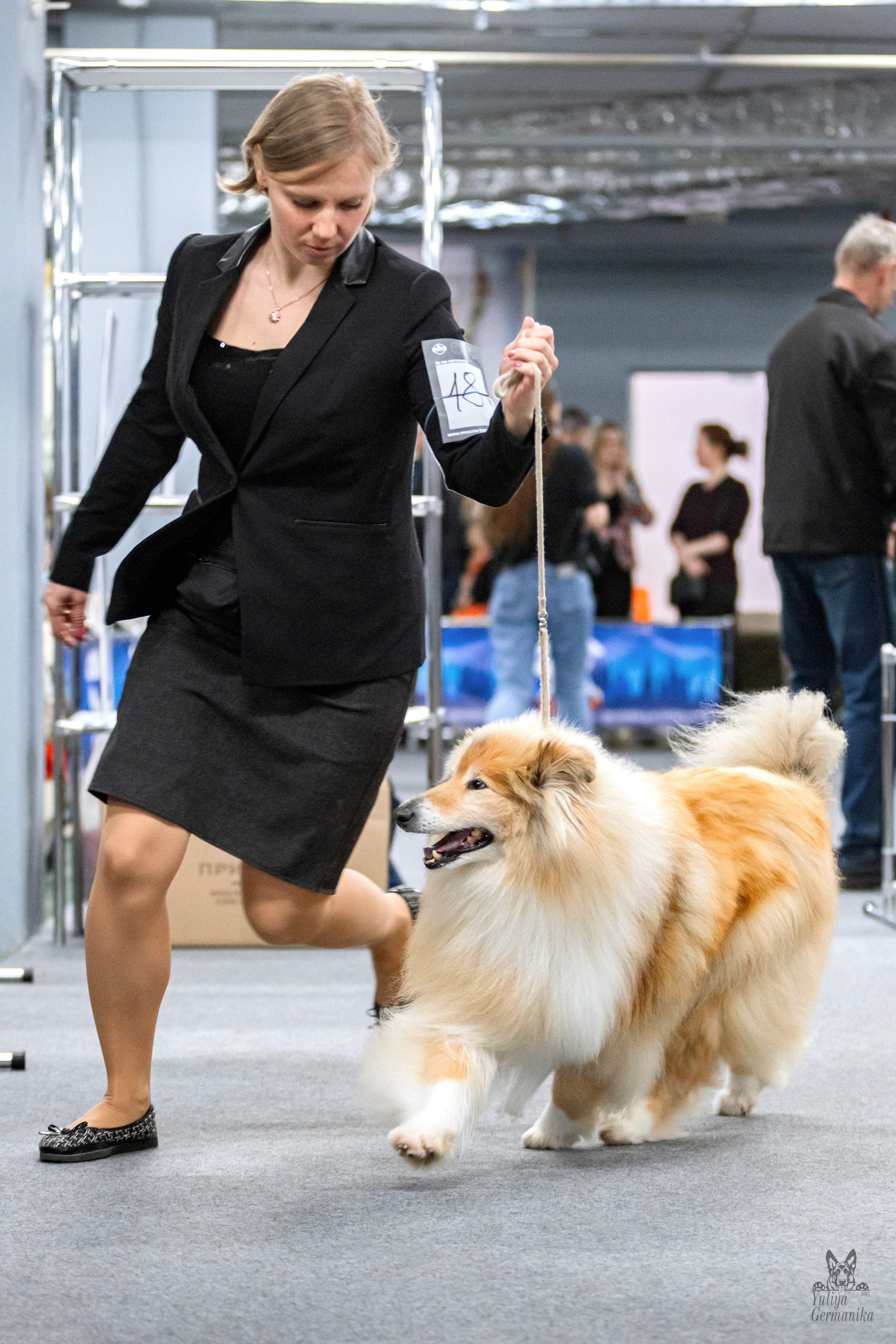 Сфера+доберманы 02.04.2023. Фотограф-анималист Юлия Германика