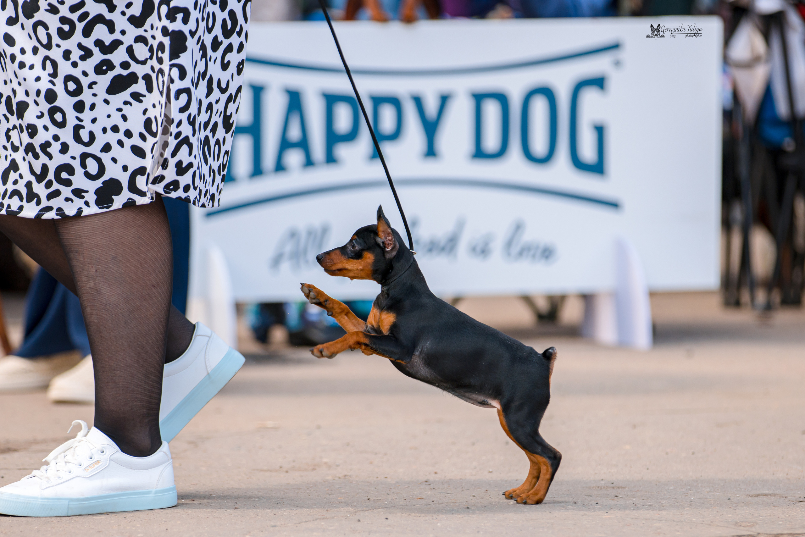 Измайлово 21.05.2023. Фотограф-анималист Юлия Германика