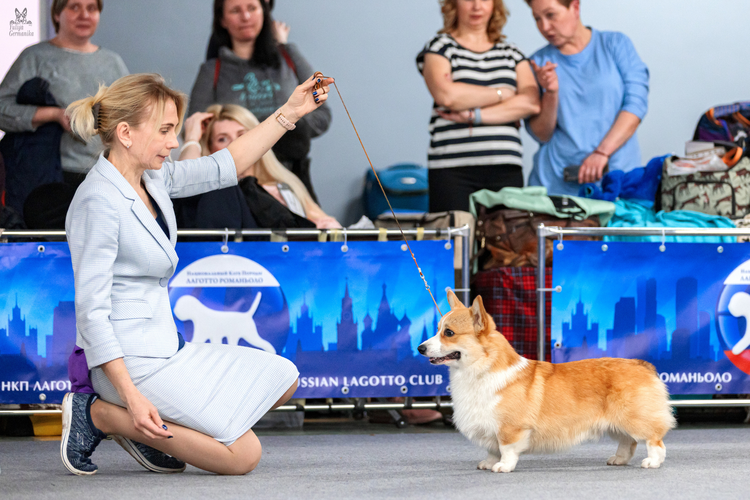 Сфера+доберманы 02.04.2023. Фотограф-анималист Юлия Германика