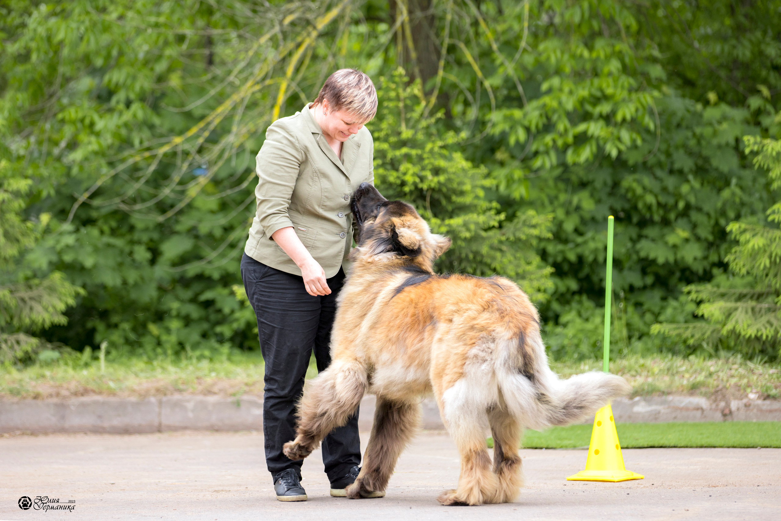 Националка Леонбергеров 28.05.2023. Фотограф-анималист Юлия Германика