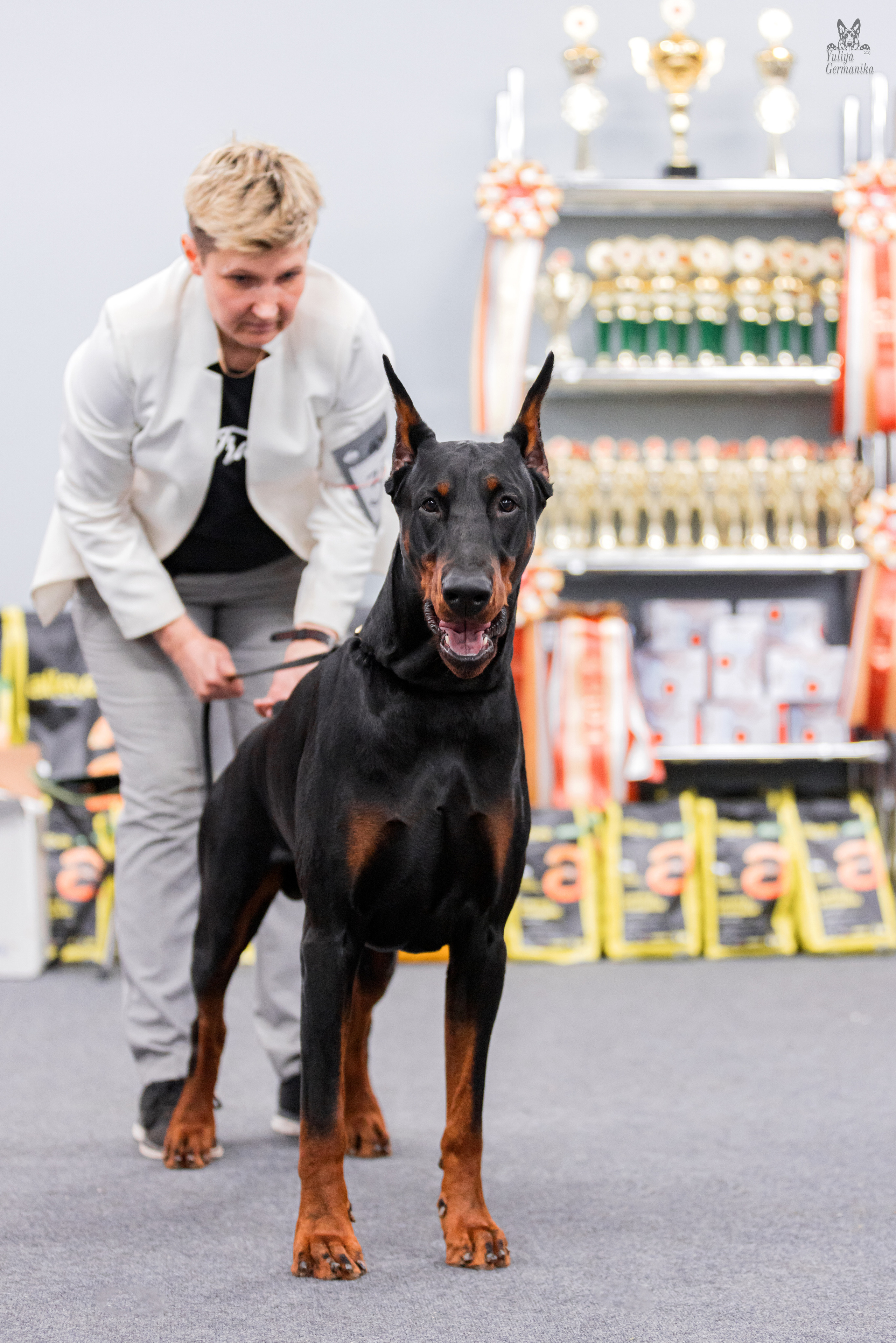Сфера+доберманы 02.04.2023. Фотограф-анималист Юлия Германика
