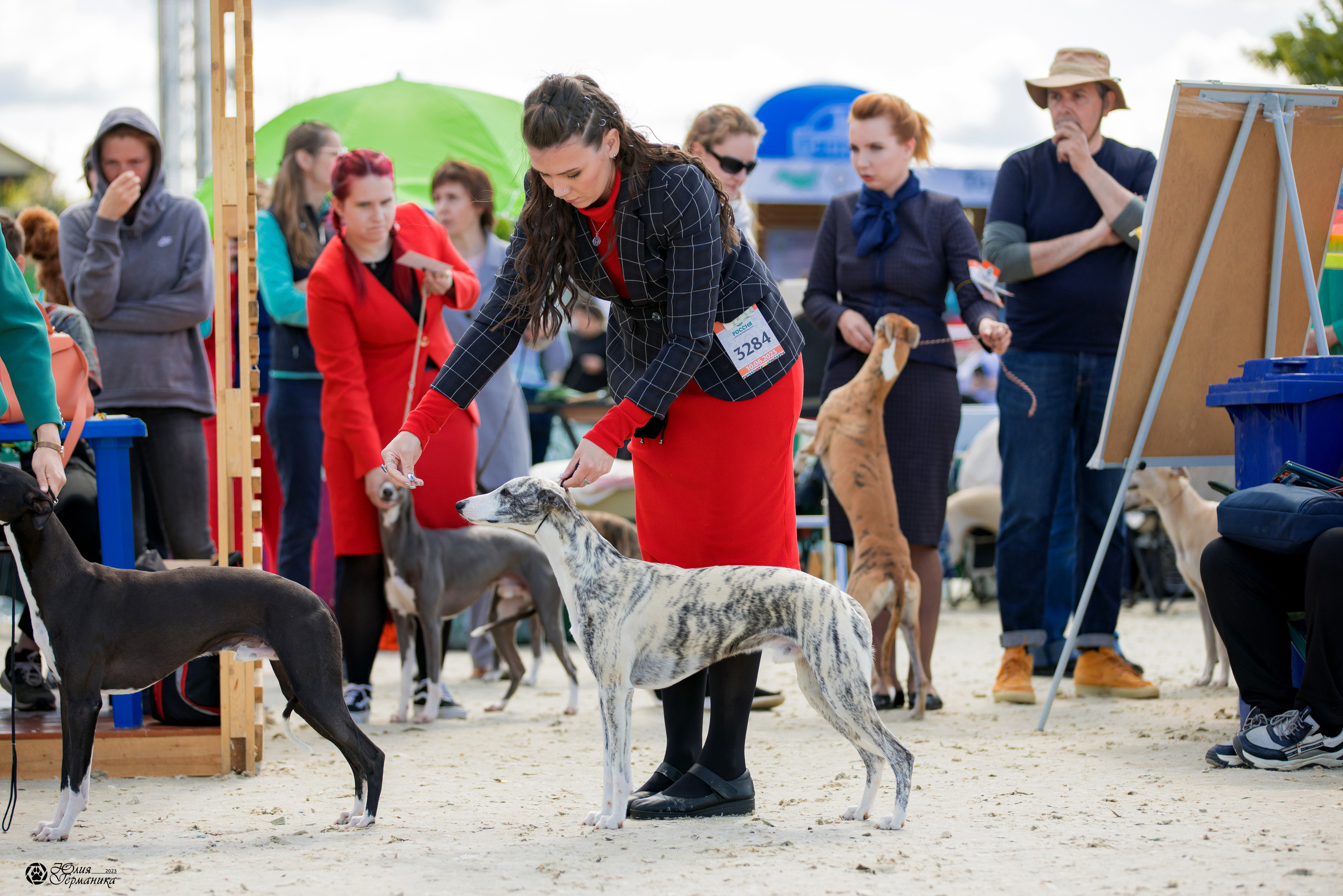 Россия 10-11.06.2023. Фотограф-анималист Юлия Германика