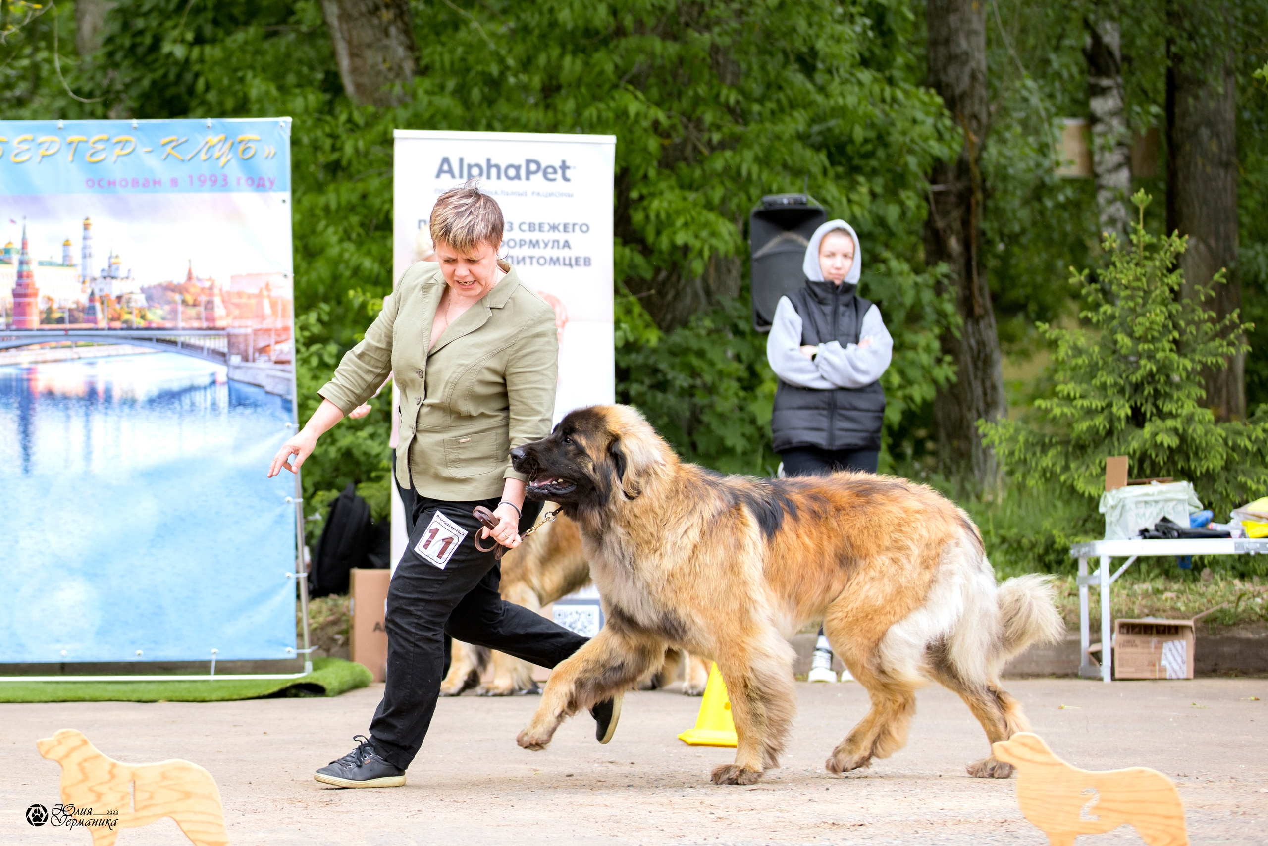 Националка Леонбергеров 28.05.2023. Фотограф-анималист Юлия Германика