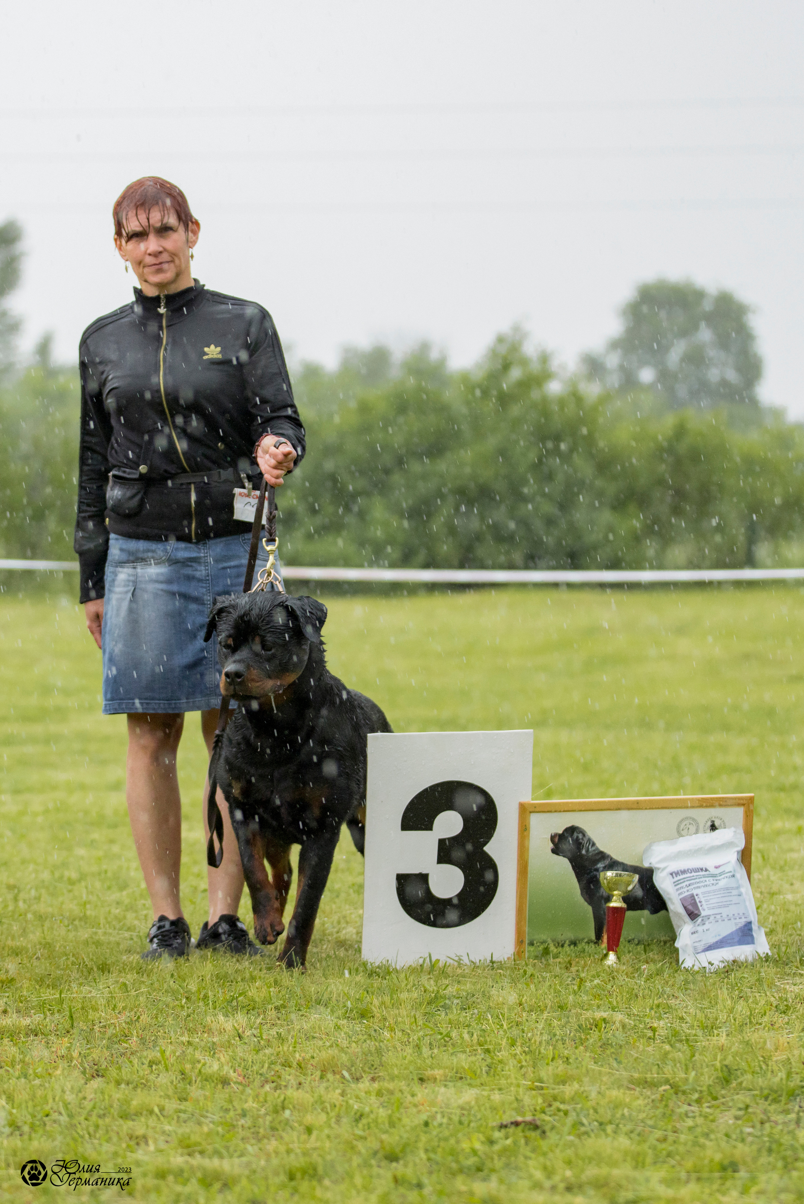 Воронеж 2хмоно ротвейлеров 3-4.06.2023. Фотограф-анималист Юлия Германика