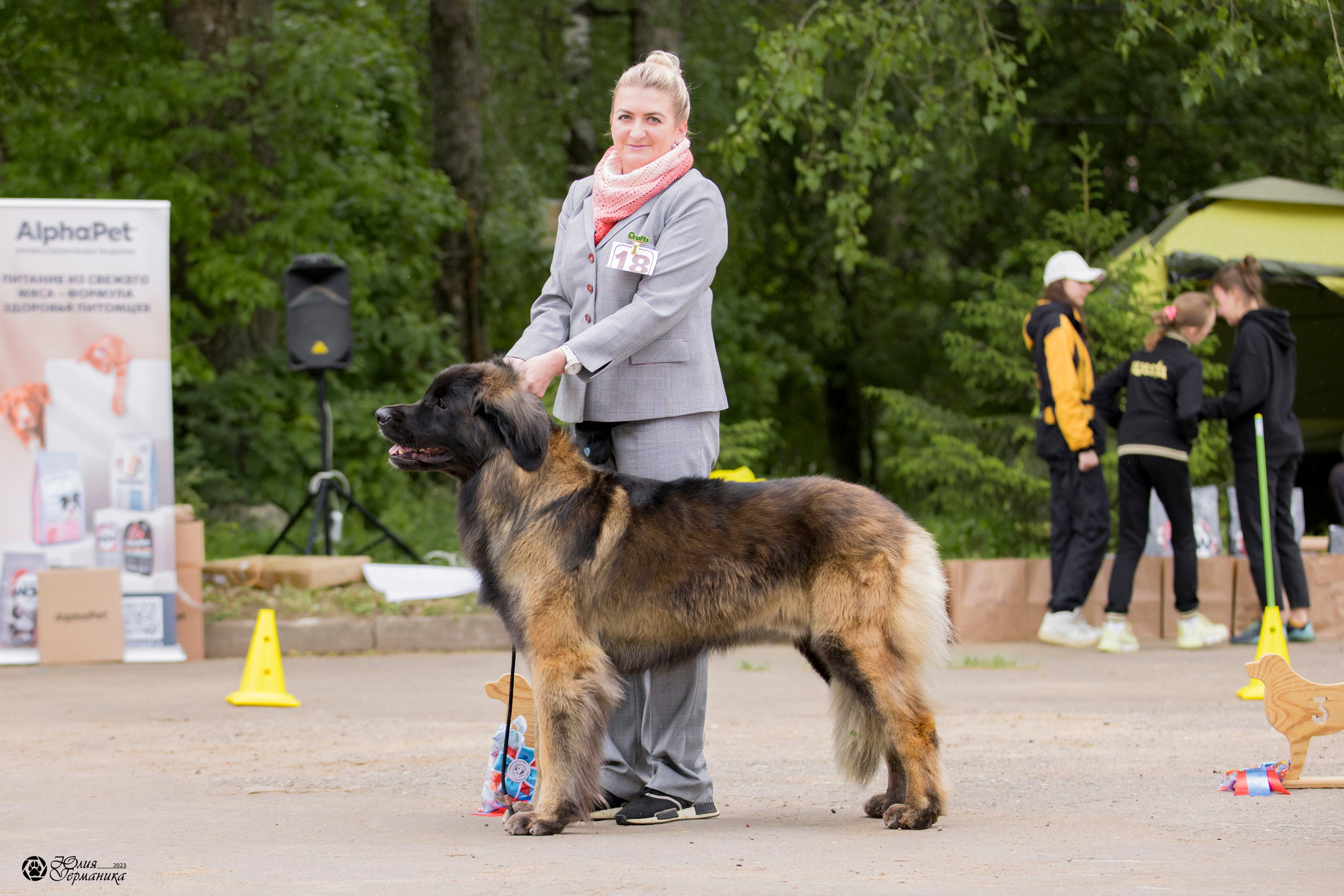 Националка Леонбергеров 28.05.2023. Фотограф-анималист Юлия Германика