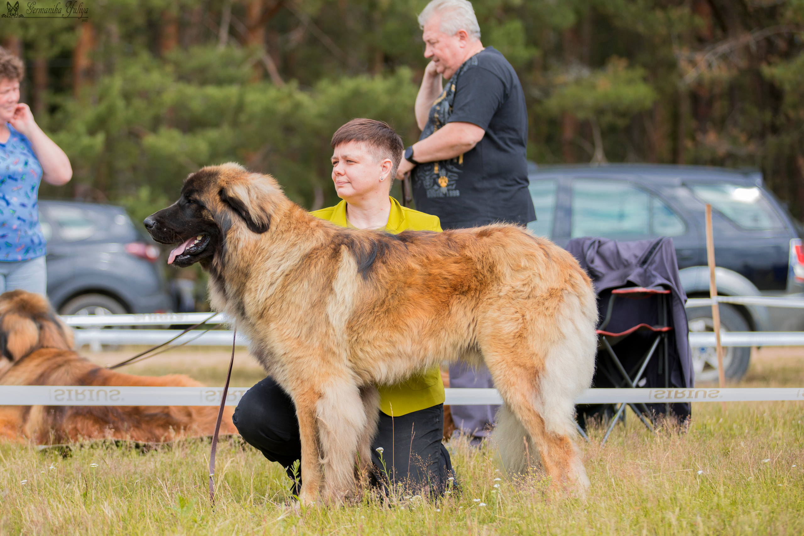 Волжанка 8.07.2023. Фотограф-анималист Юлия Германика