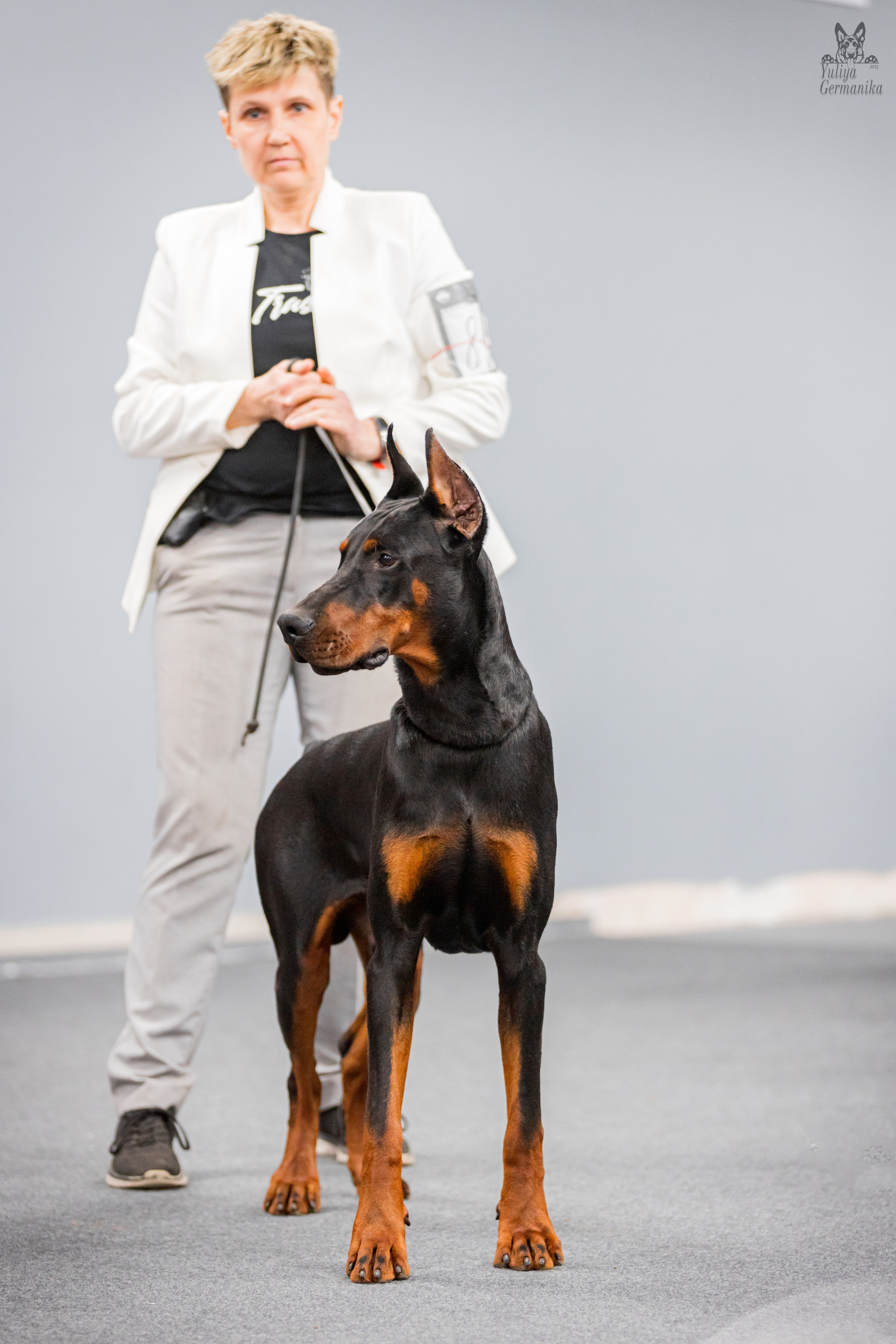 Сфера+доберманы 02.04.2023. Фотограф-анималист Юлия Германика