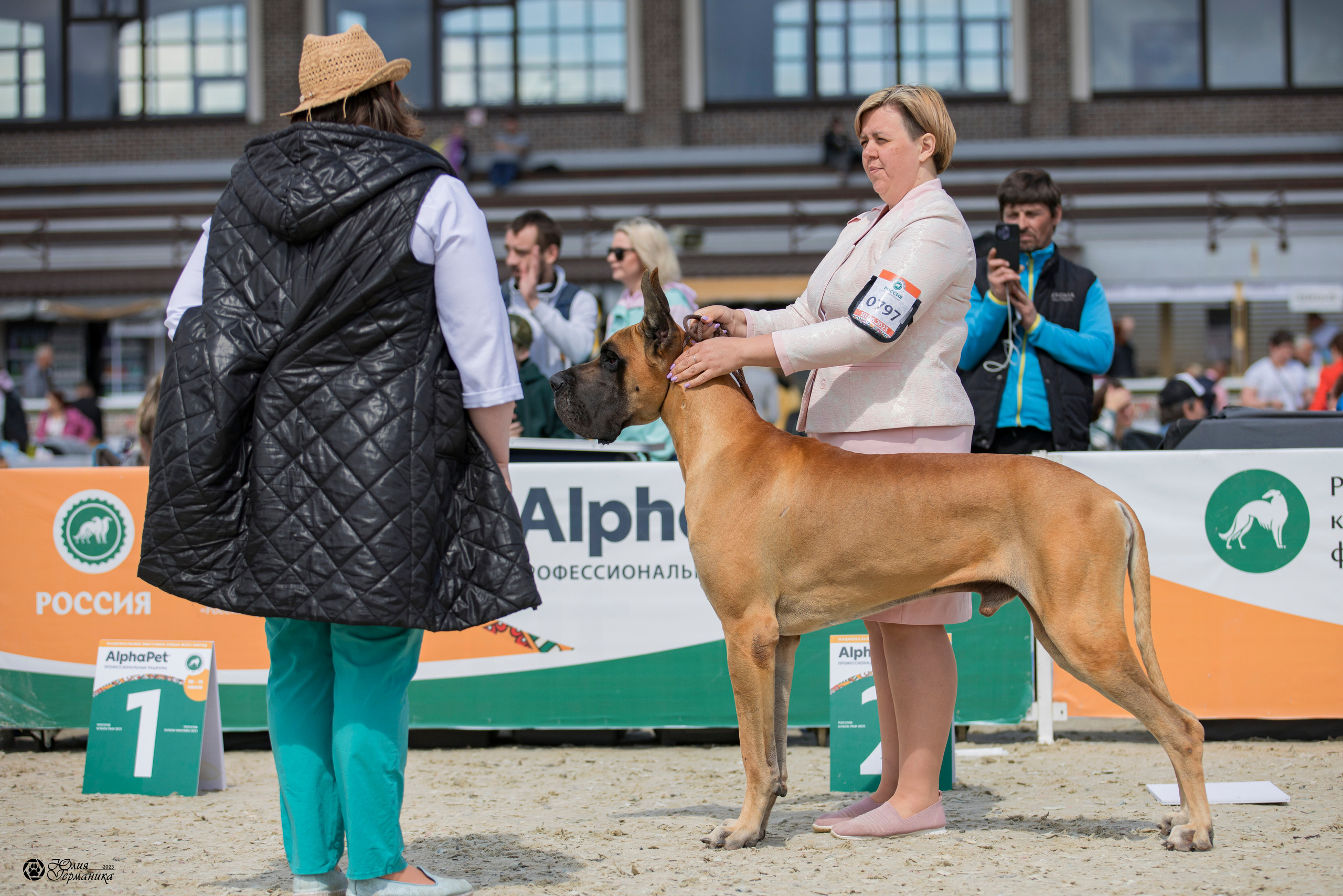 Россия 10-11.06.2023. Фотограф-анималист Юлия Германика