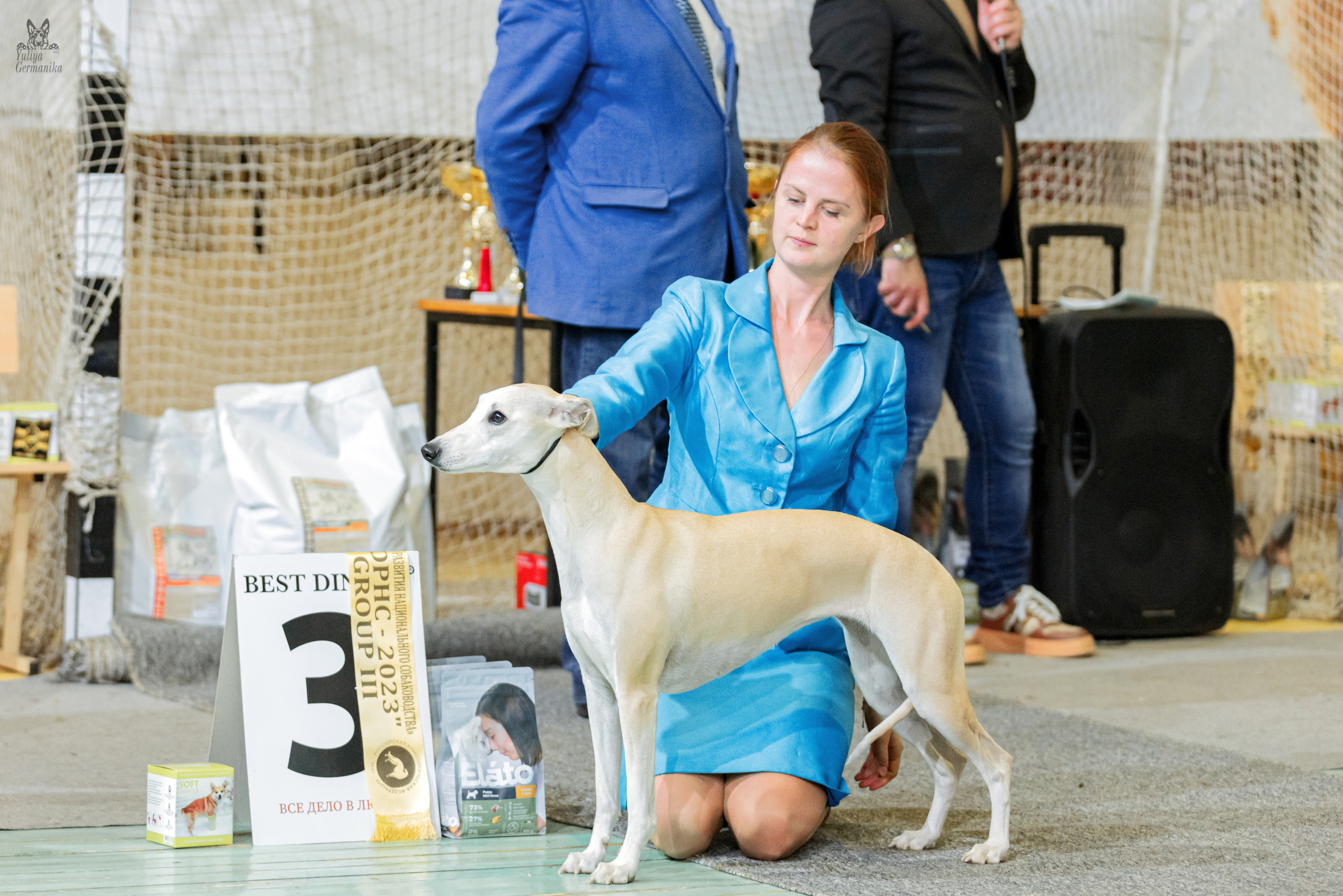 Тверь 01.04.2023. Фотограф-анималист Юлия Германика