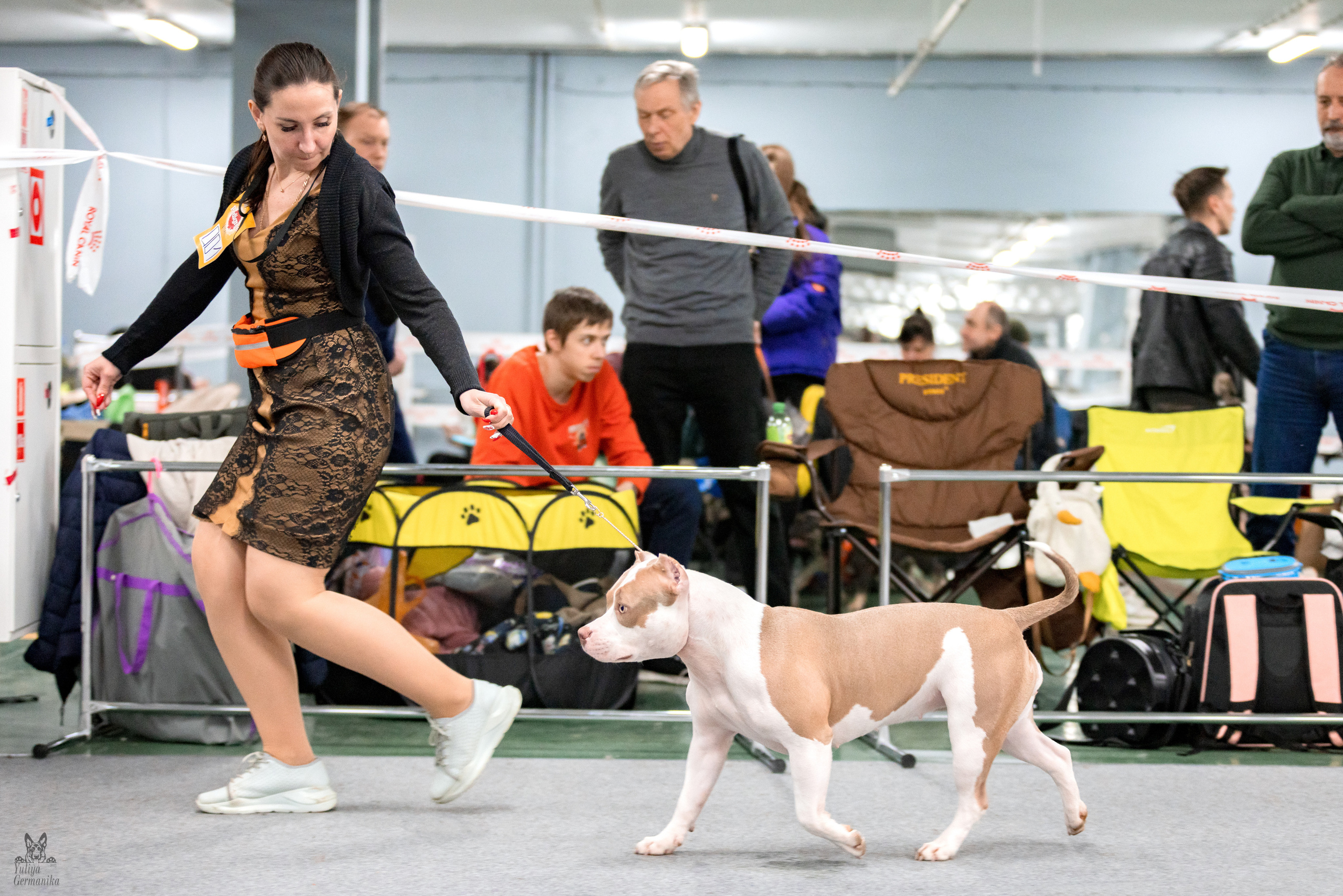 Сфера 25-26.03.2023. Фотограф-анималист Юлия Германика