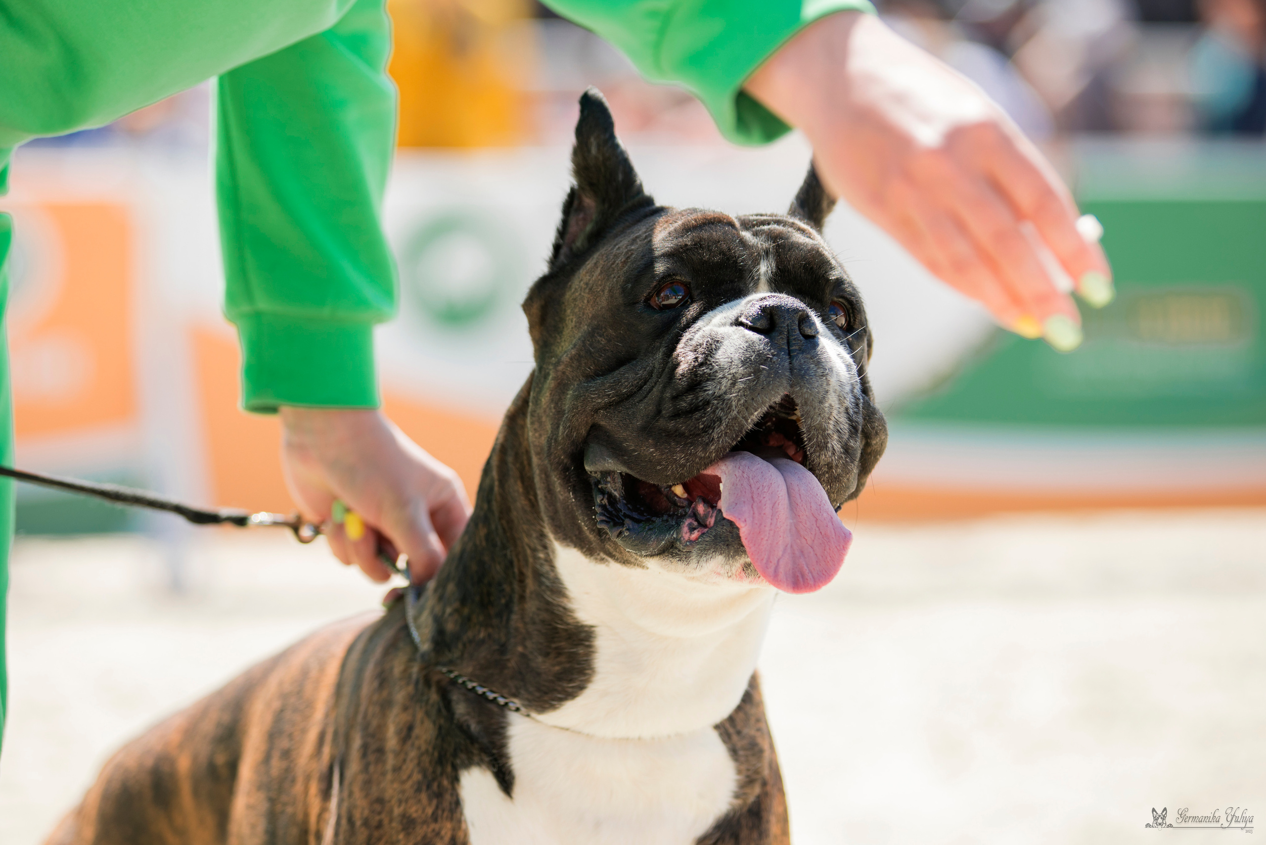 Россия 10-11.06.2023