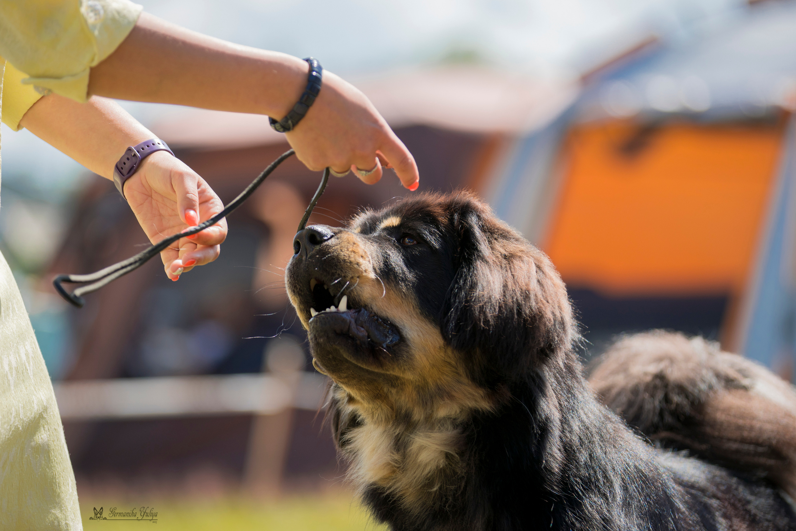 Волжанка 8.07.2023. Фотограф-анималист Юлия Германика