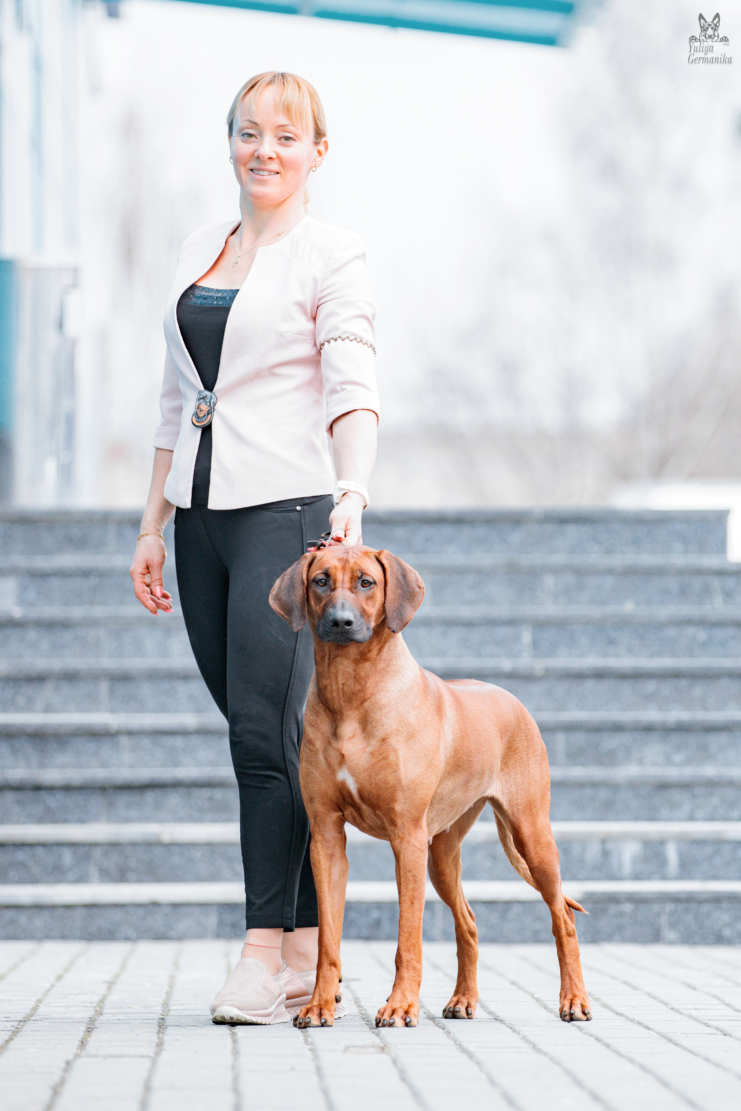 Сфера+доберманы 02.04.2023. Фотограф-анималист Юлия Германика