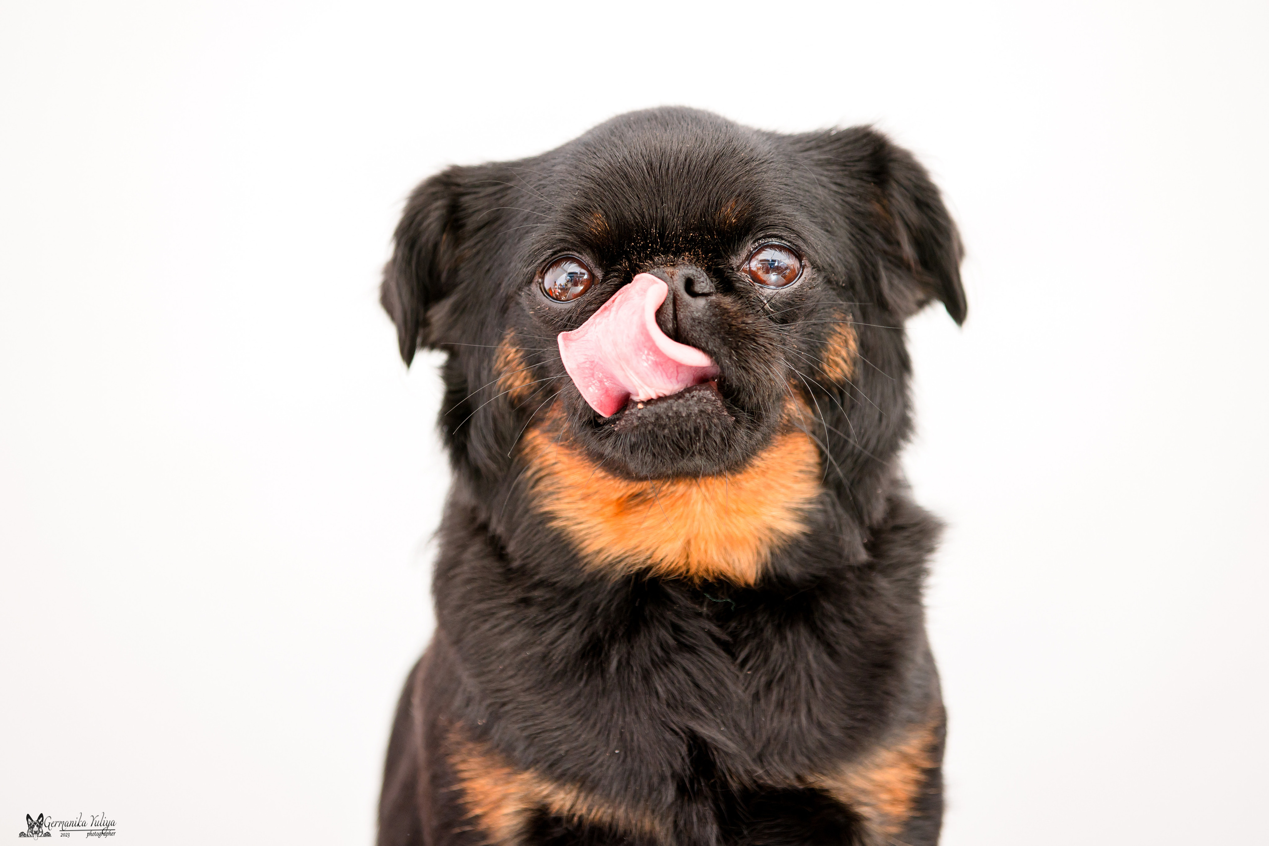 Измайлово 21.05.2023. Фотограф-анималист Юлия Германика