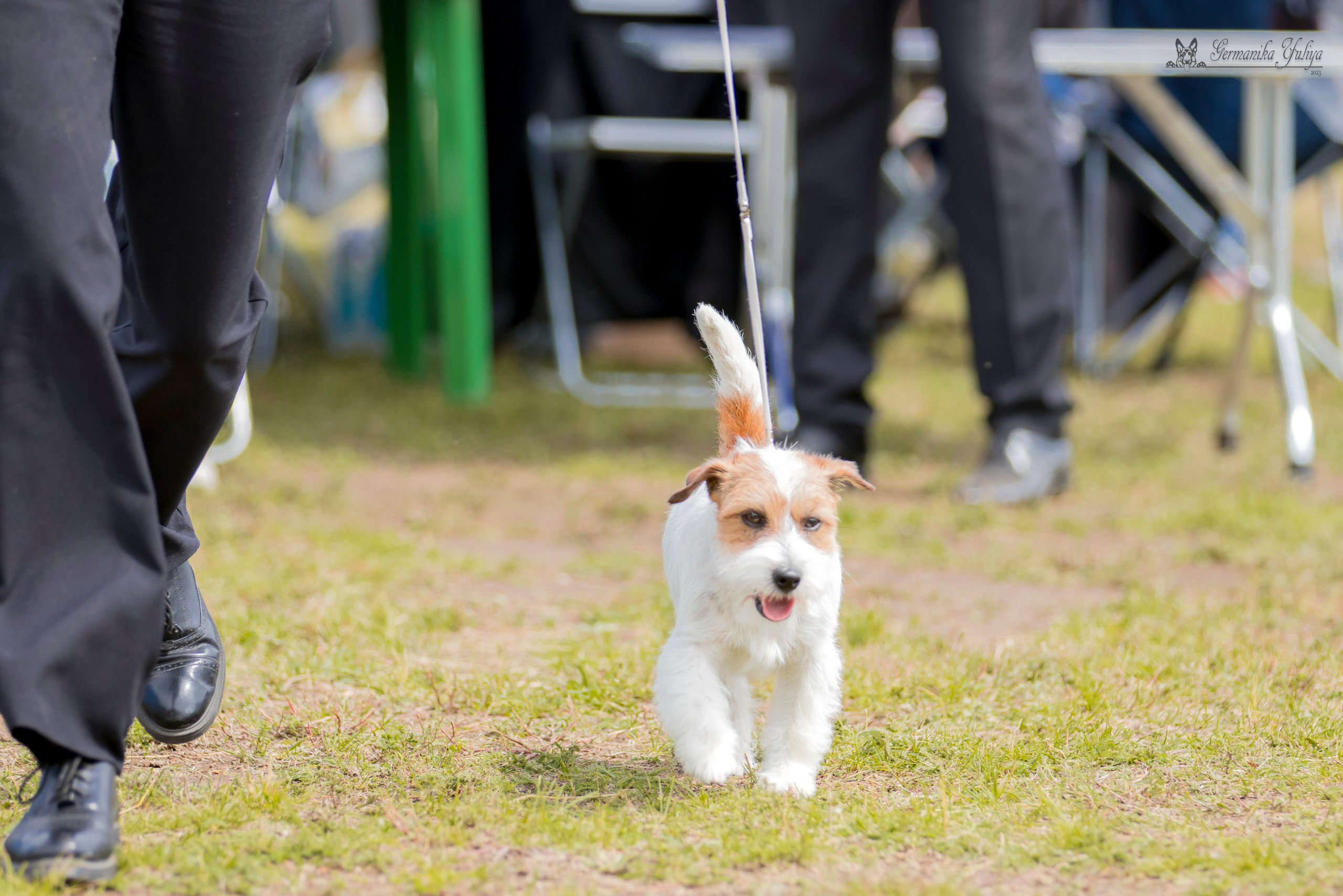 Владимир 1-2.07.2023. Фотограф-анималист Юлия Германика