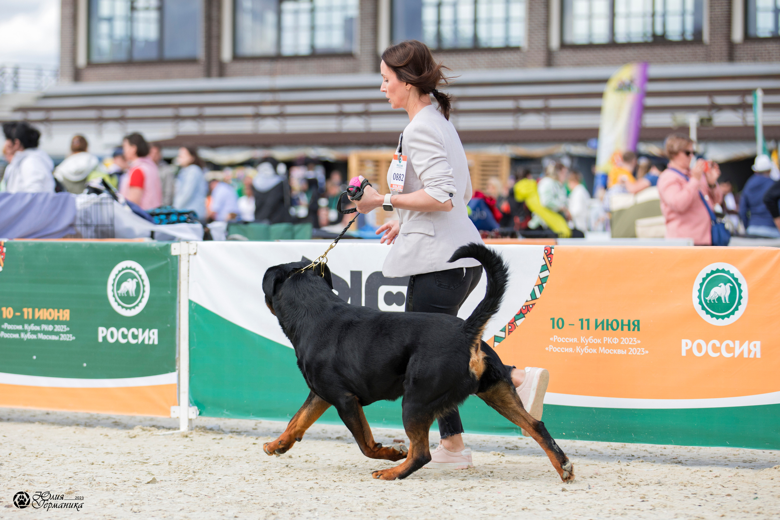 Россия 10-11.06.2023. Фотограф-анималист Юлия Германика