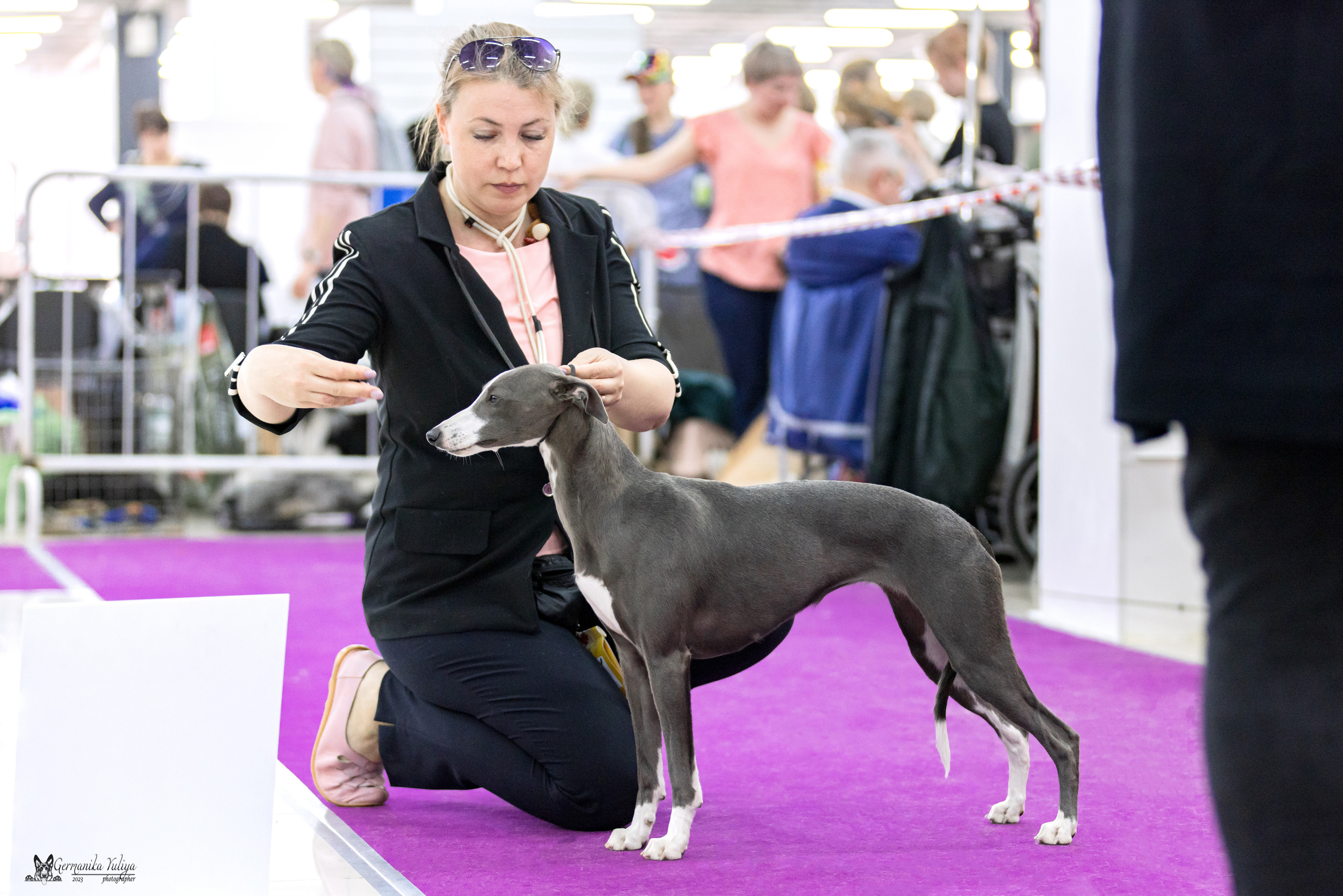 Сфера+МД 8-9.04.2023. Фотограф-анималист Юлия Германика