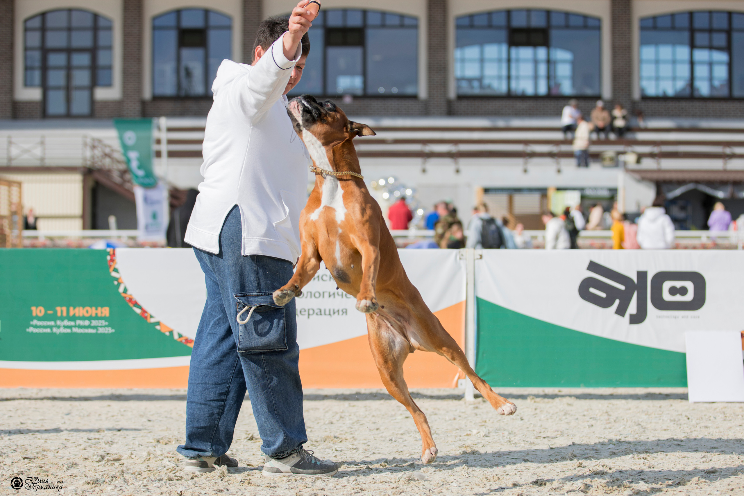 Россия 10-11.06.2023. Фотограф-анималист Юлия Германика