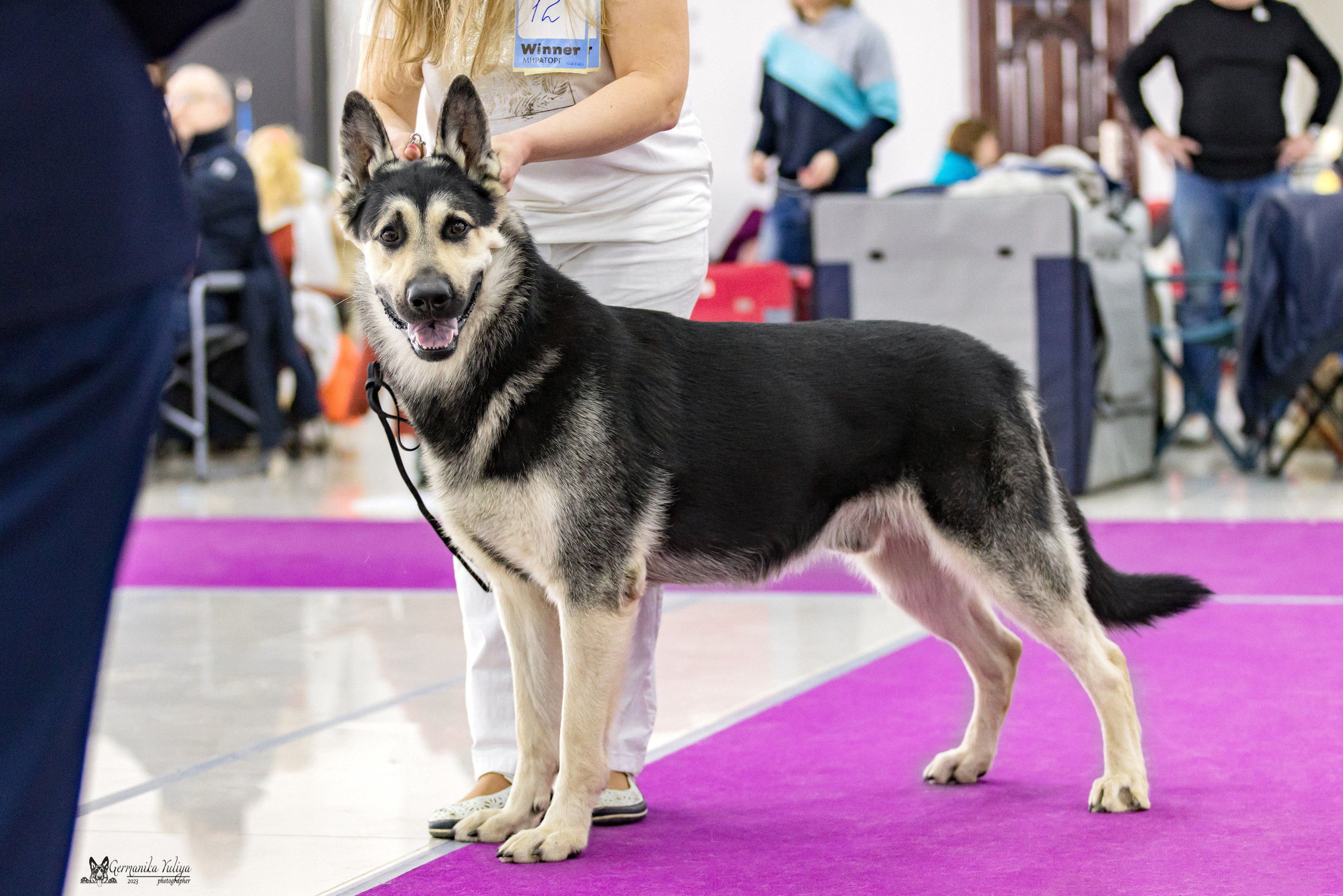 МД 15.04.2023. Фотограф-анималист Юлия Германика