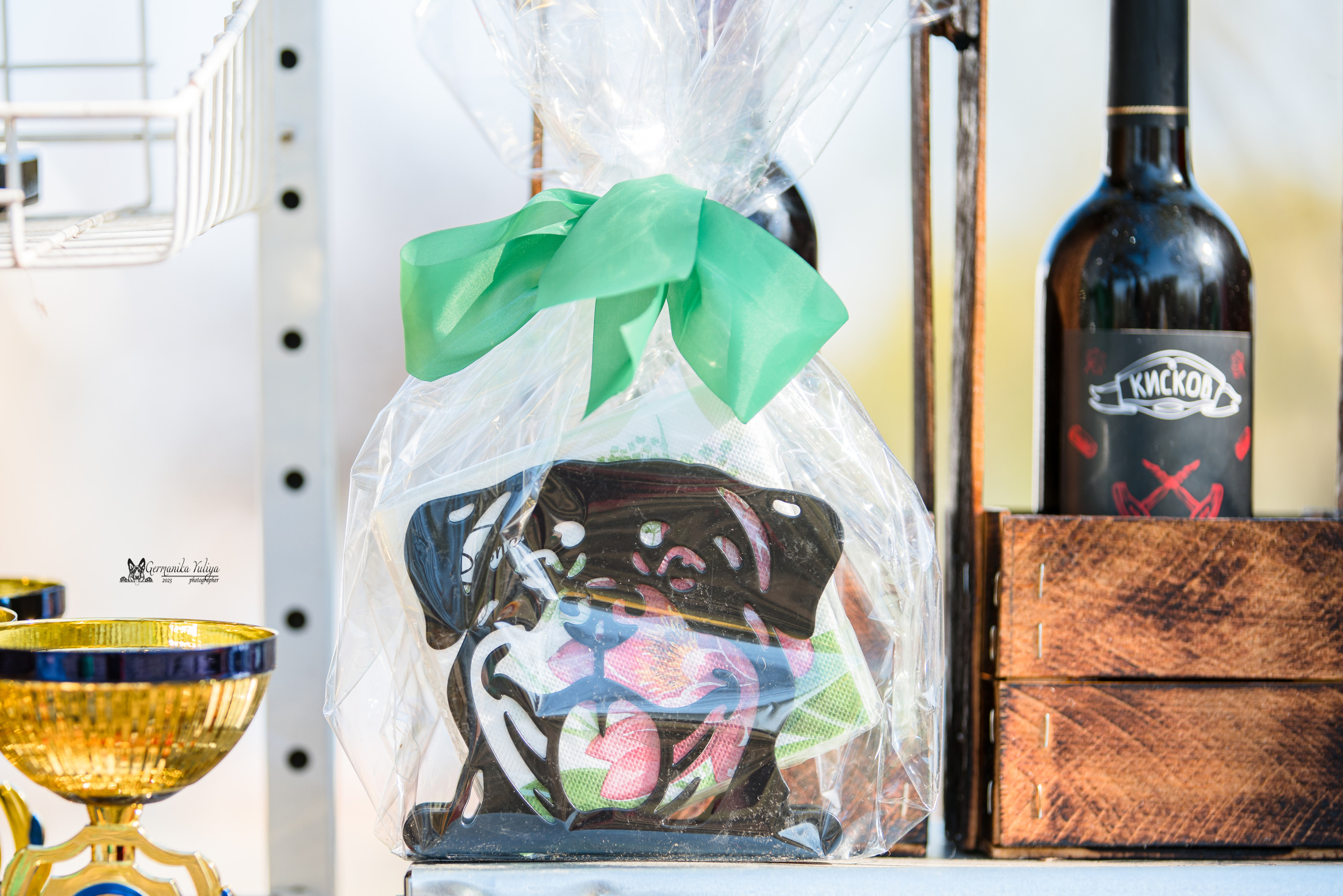 Саратов 2хмоно ротвейлеров 22-23.04.2023. Фотограф-анималист Юлия Германика