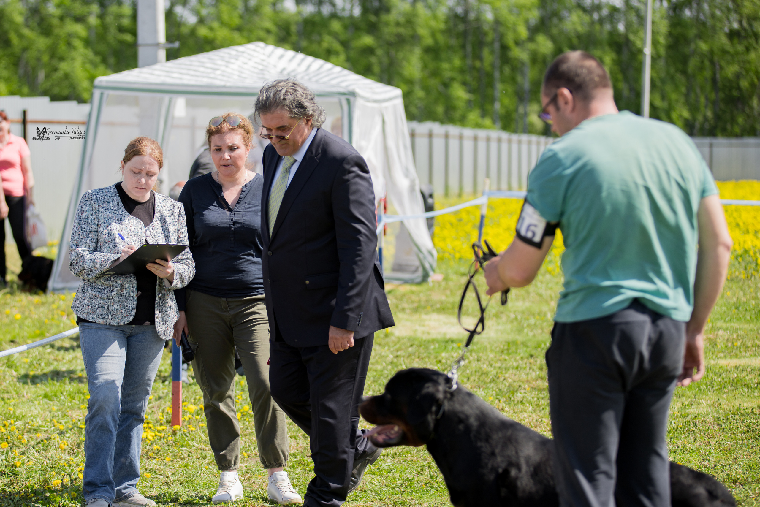 Нижний Новгород моно ротвейлеров 13.05.2023. Фотограф-анималист Юлия Германика