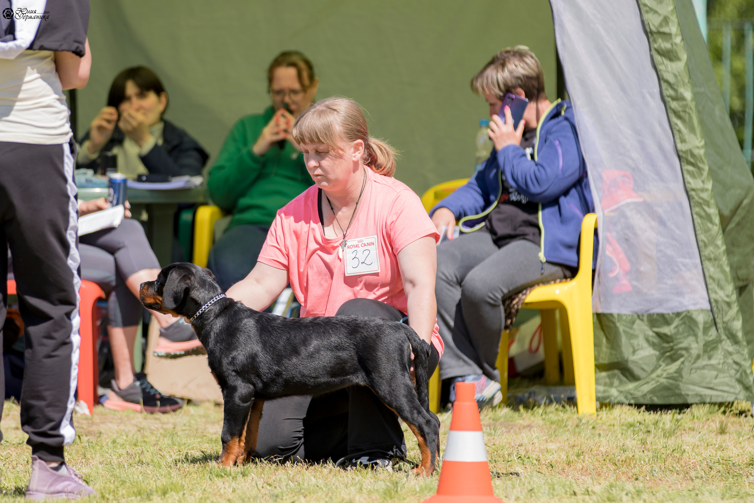 Воронеж 2хмоно ротвейлеров 3-4.06.2023. Фотограф-анималист Юлия Германика