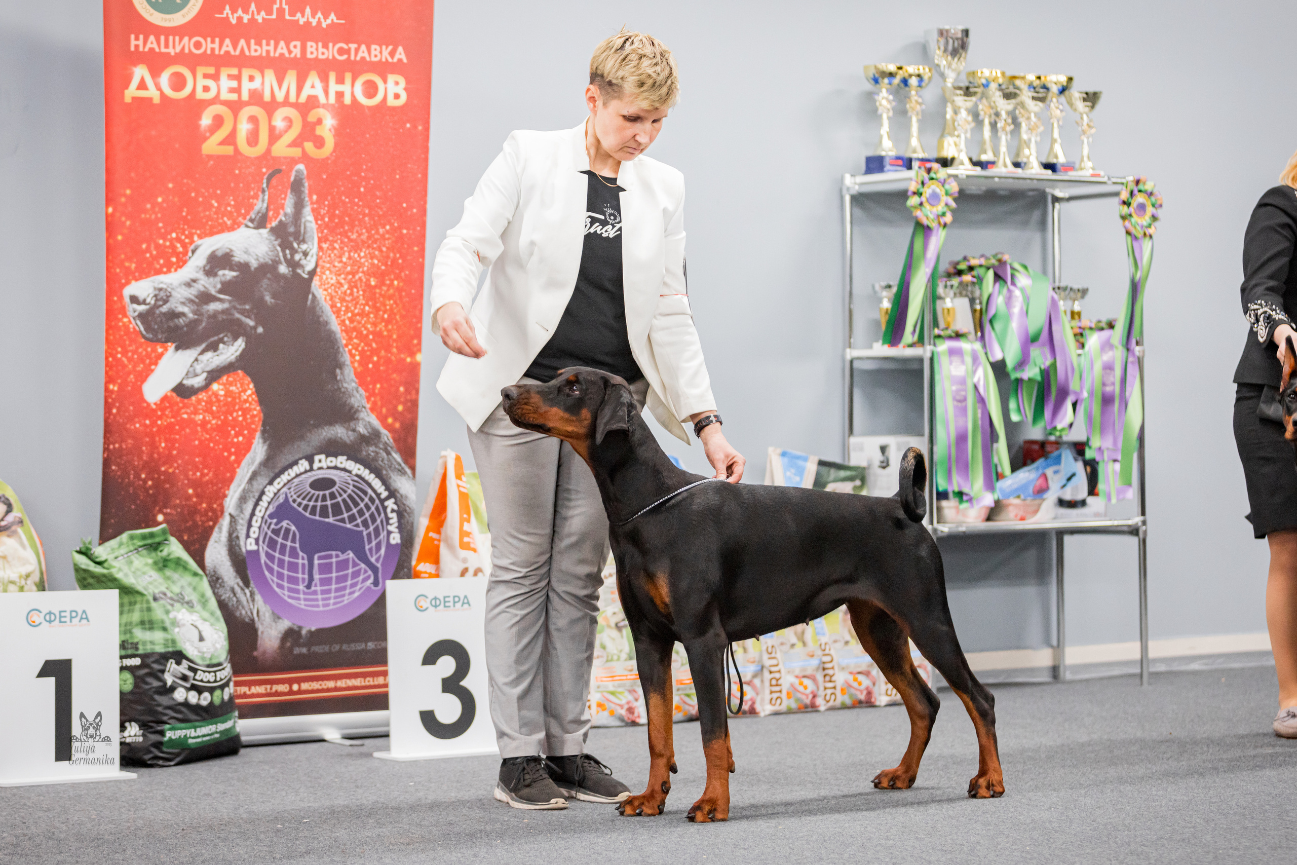 Сфера+доберманы 02.04.2023. Фотограф-анималист Юлия Германика