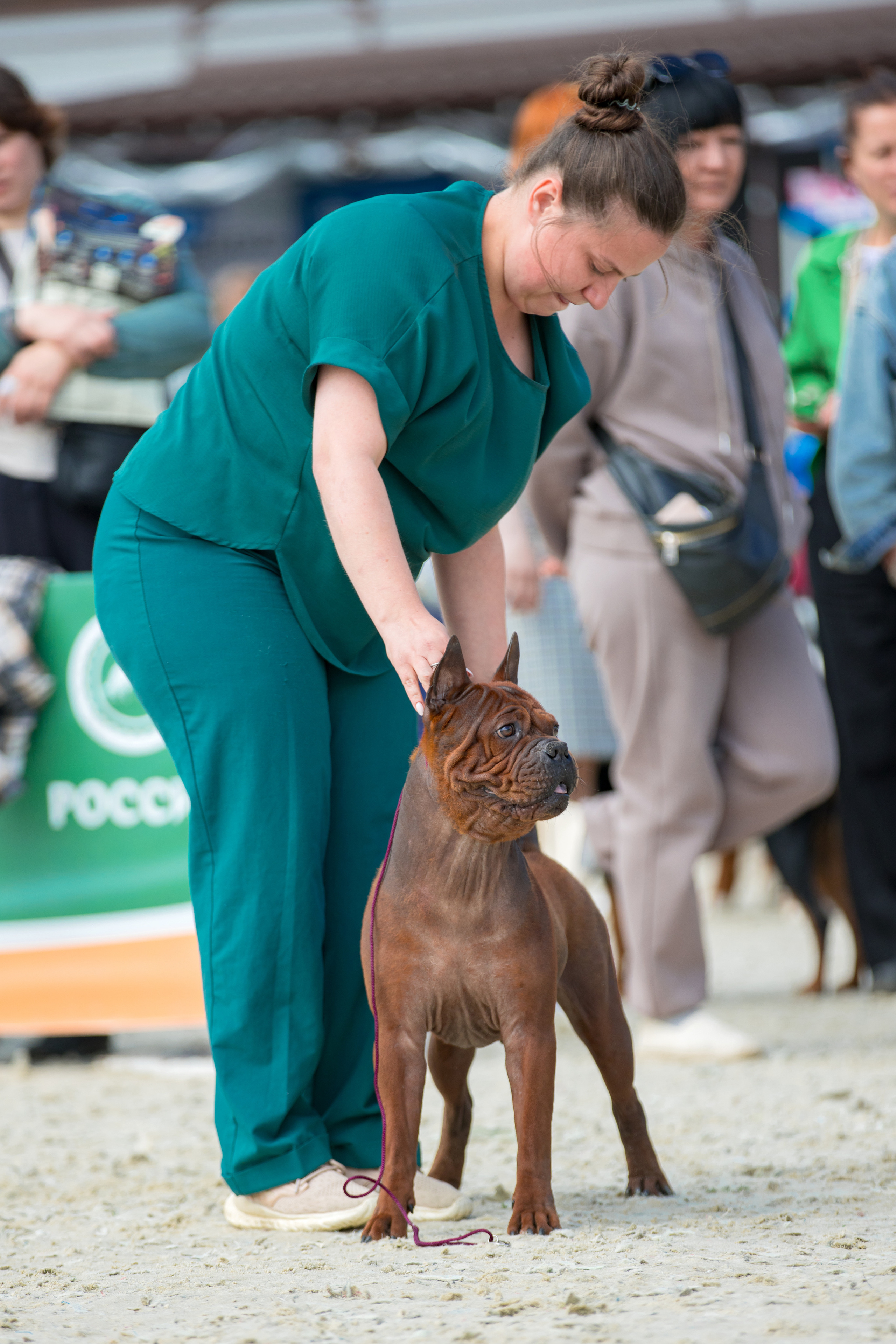 Россия 10-11.06.2023. Фотограф-анималист Юлия Германика