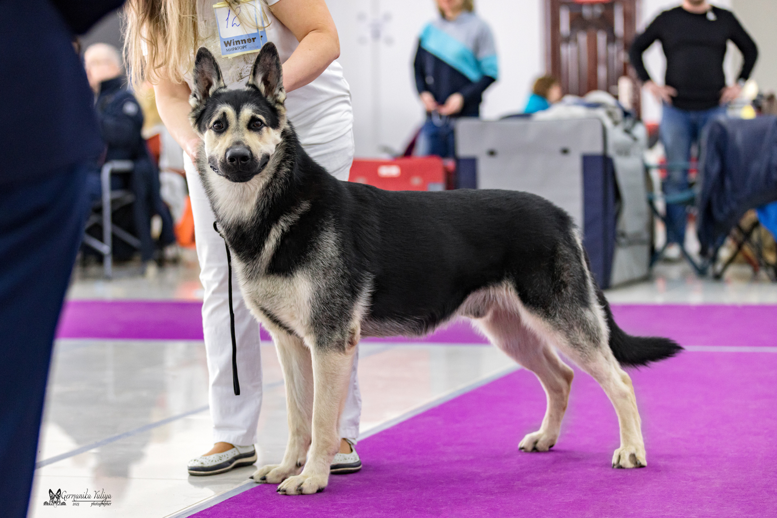 МД 15.04.2023. Фотограф-анималист Юлия Германика