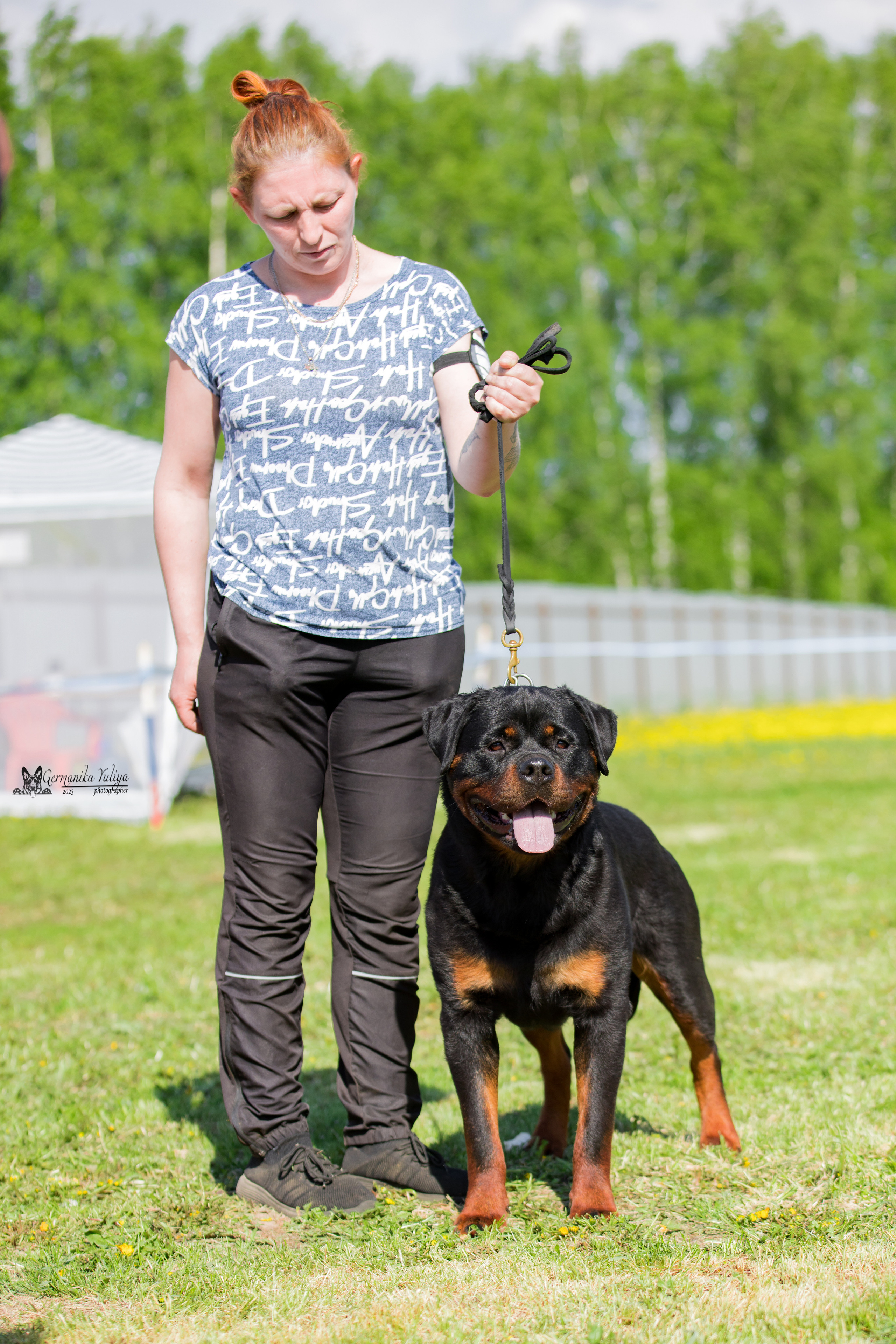 Нижний Новгород моно ротвейлеров 13.05.2023. Фотограф-анималист Юлия Германика