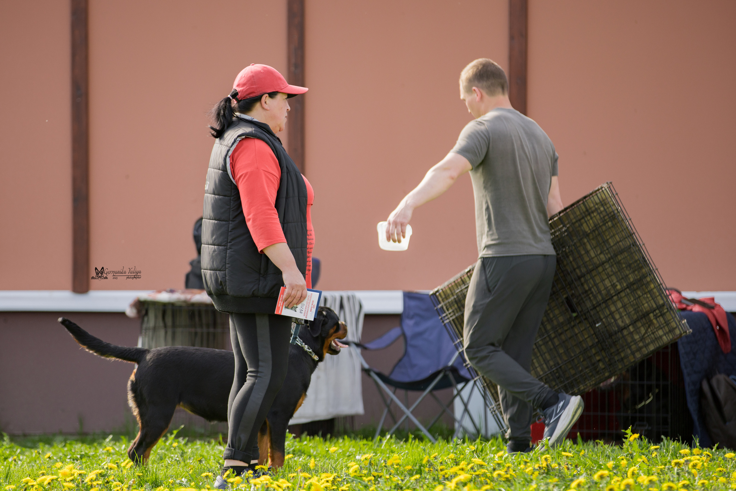 Нижний Новгород моно ротвейлеров 13.05.2023. Фотограф-анималист Юлия Германика