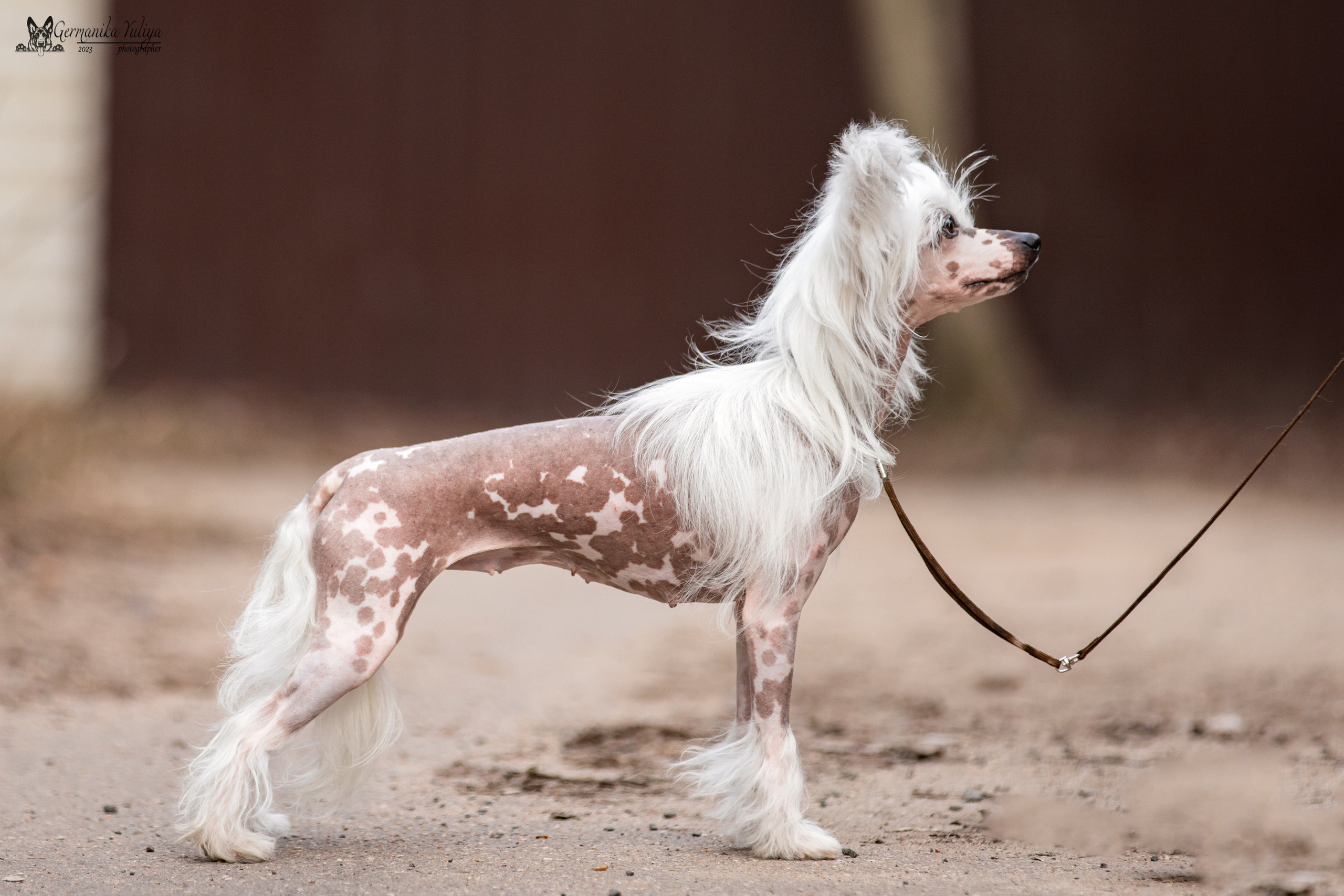 Сфера+МД 8-9.04.2023. Фотограф-анималист Юлия Германика